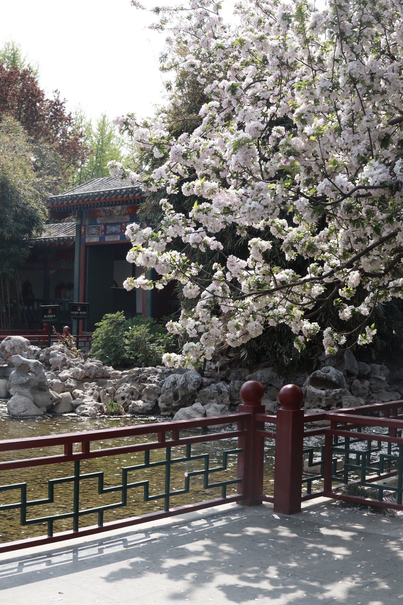月坛公园旅行图片 1