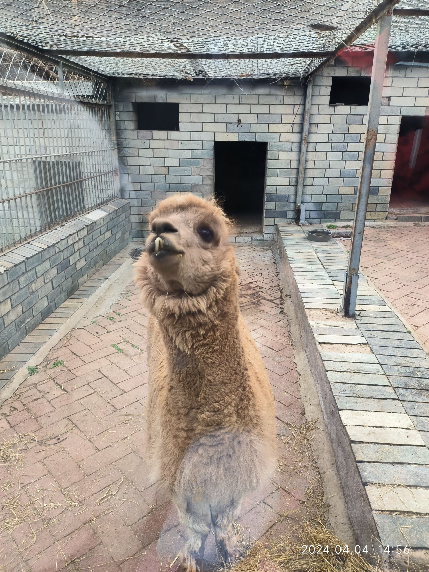 北宫国家森林公园旅行图片 3
