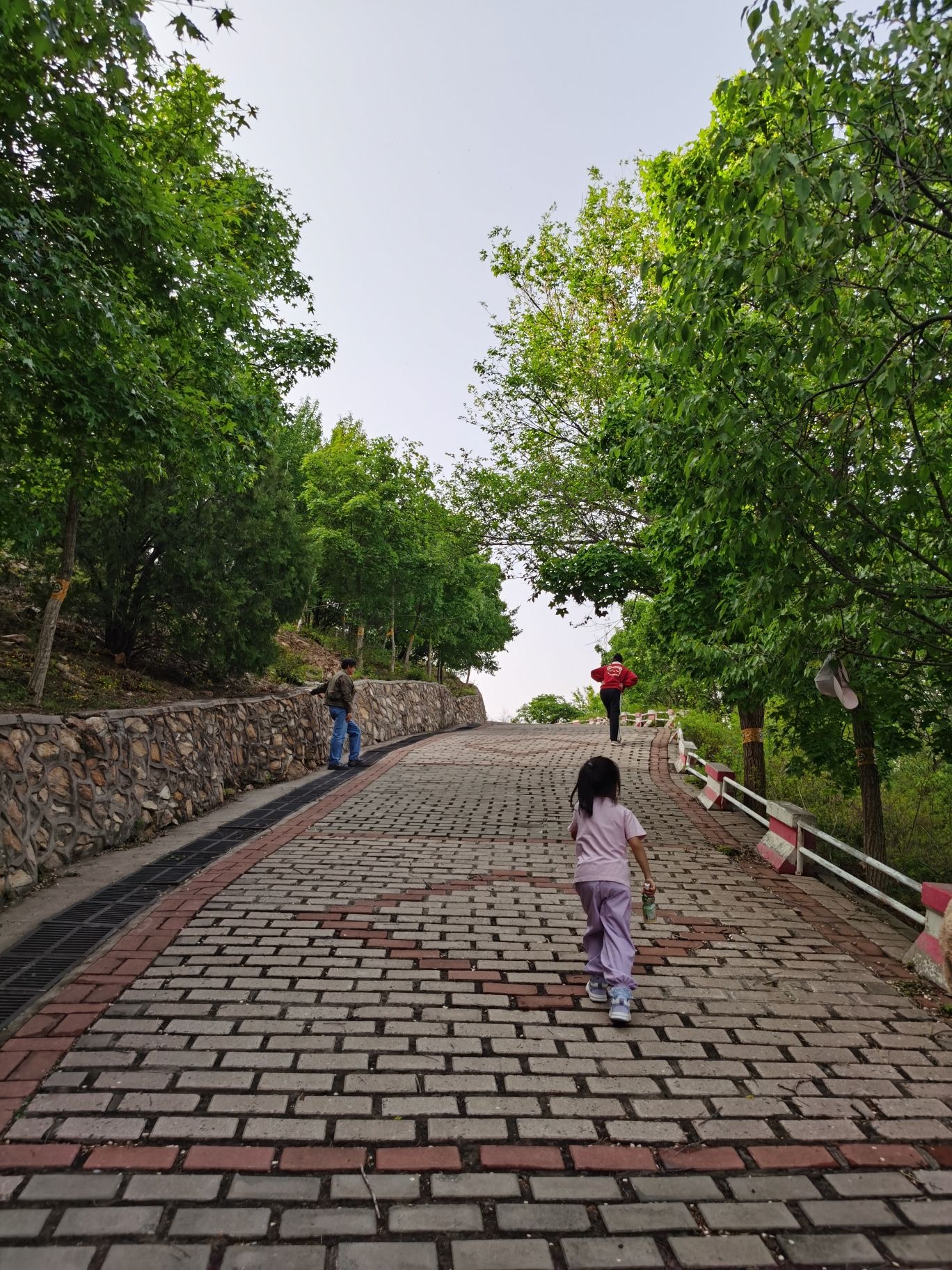 北宫国家森林公园旅行图片 3