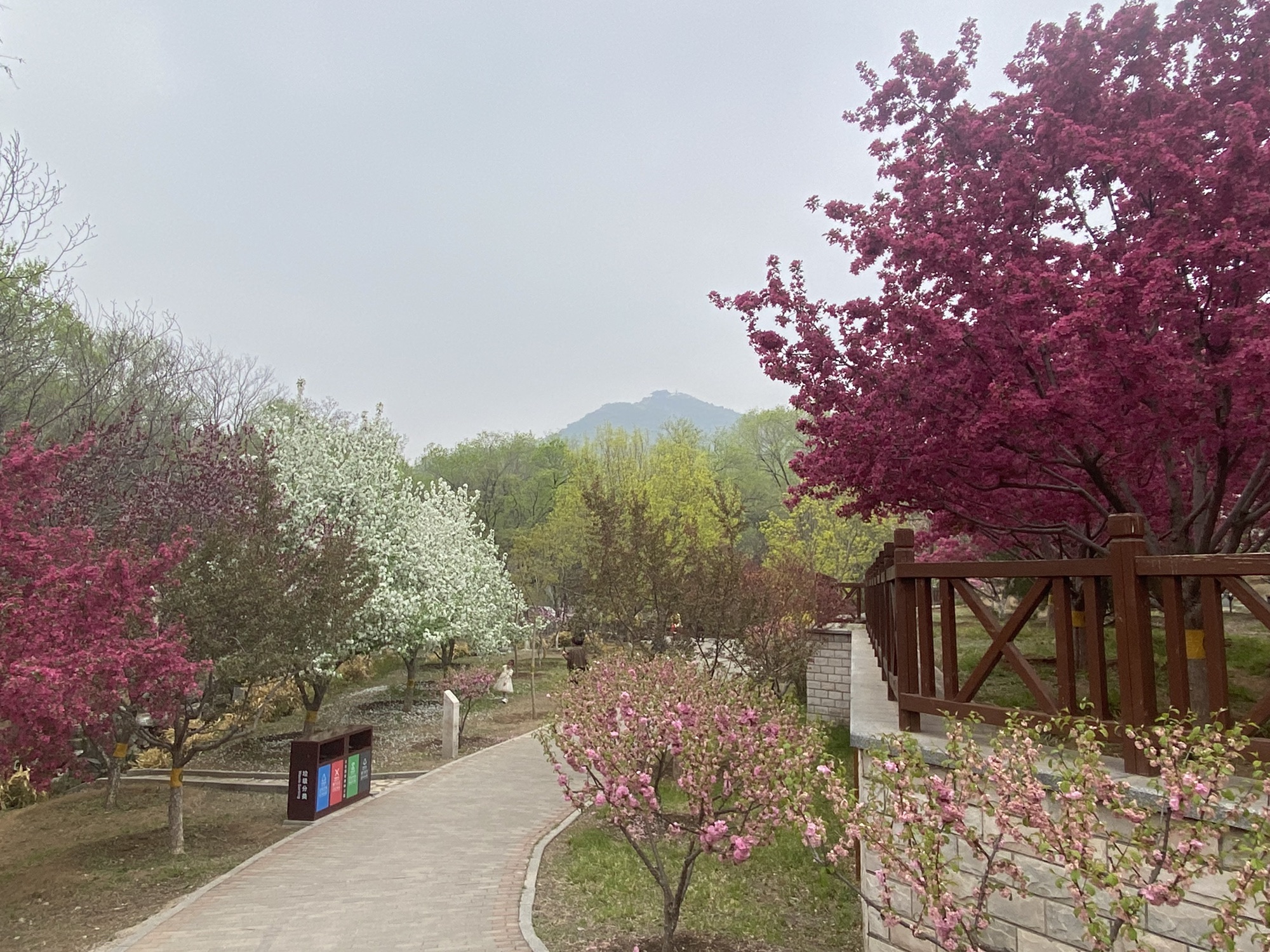 北宫国家森林公园旅行图片 2