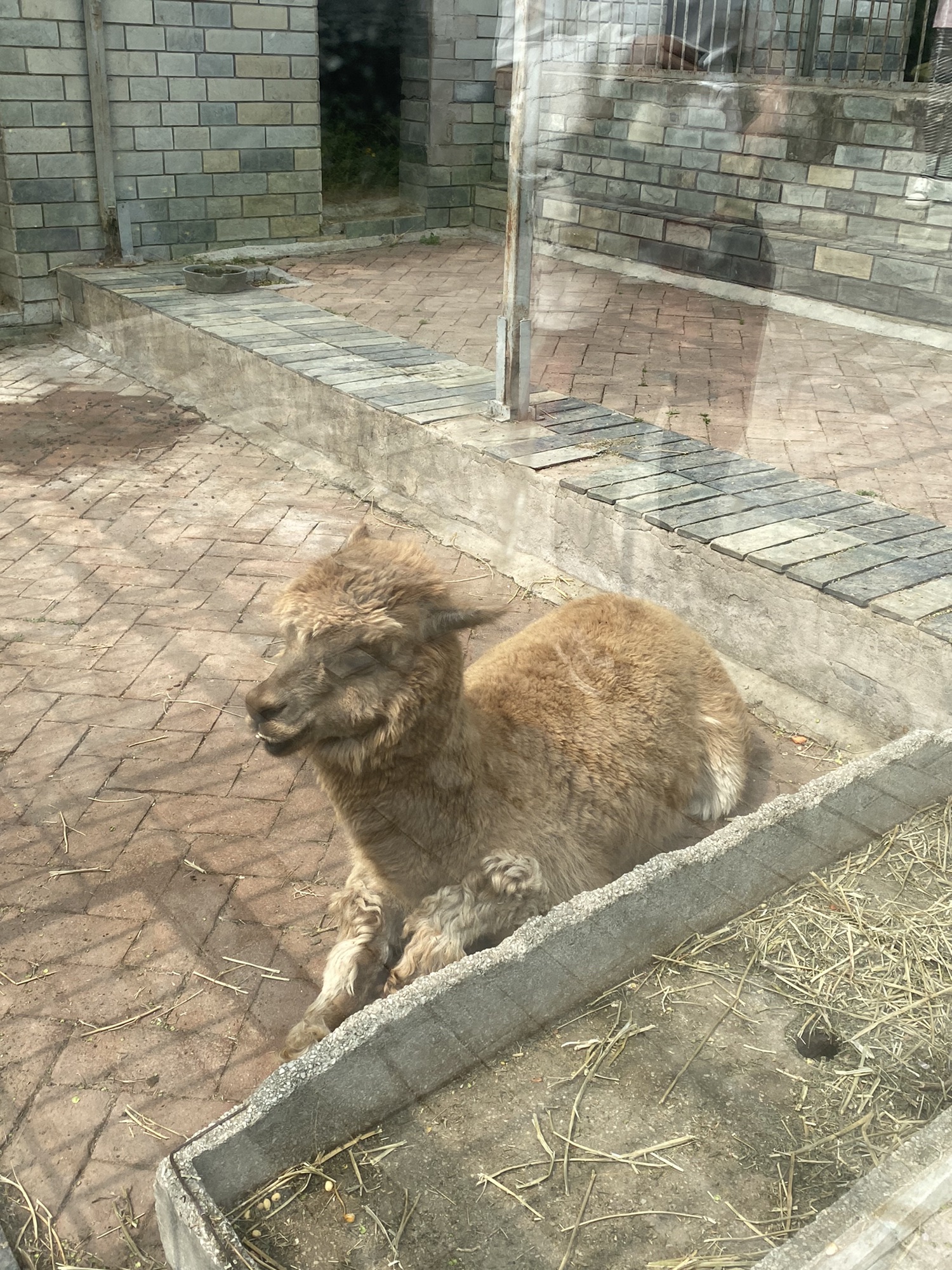 北宫国家森林公园旅行图片 3