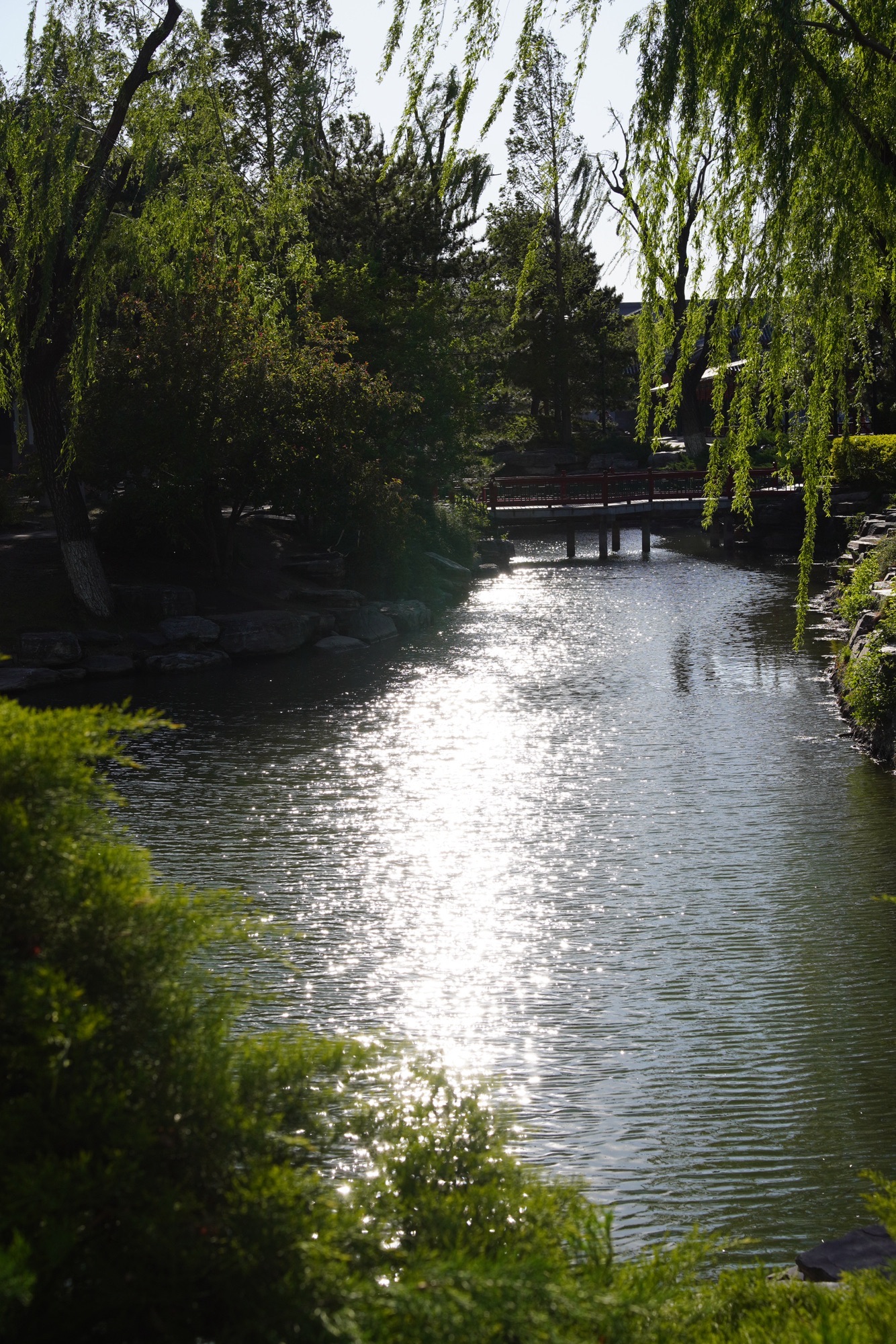 中山公园旅行图片 2