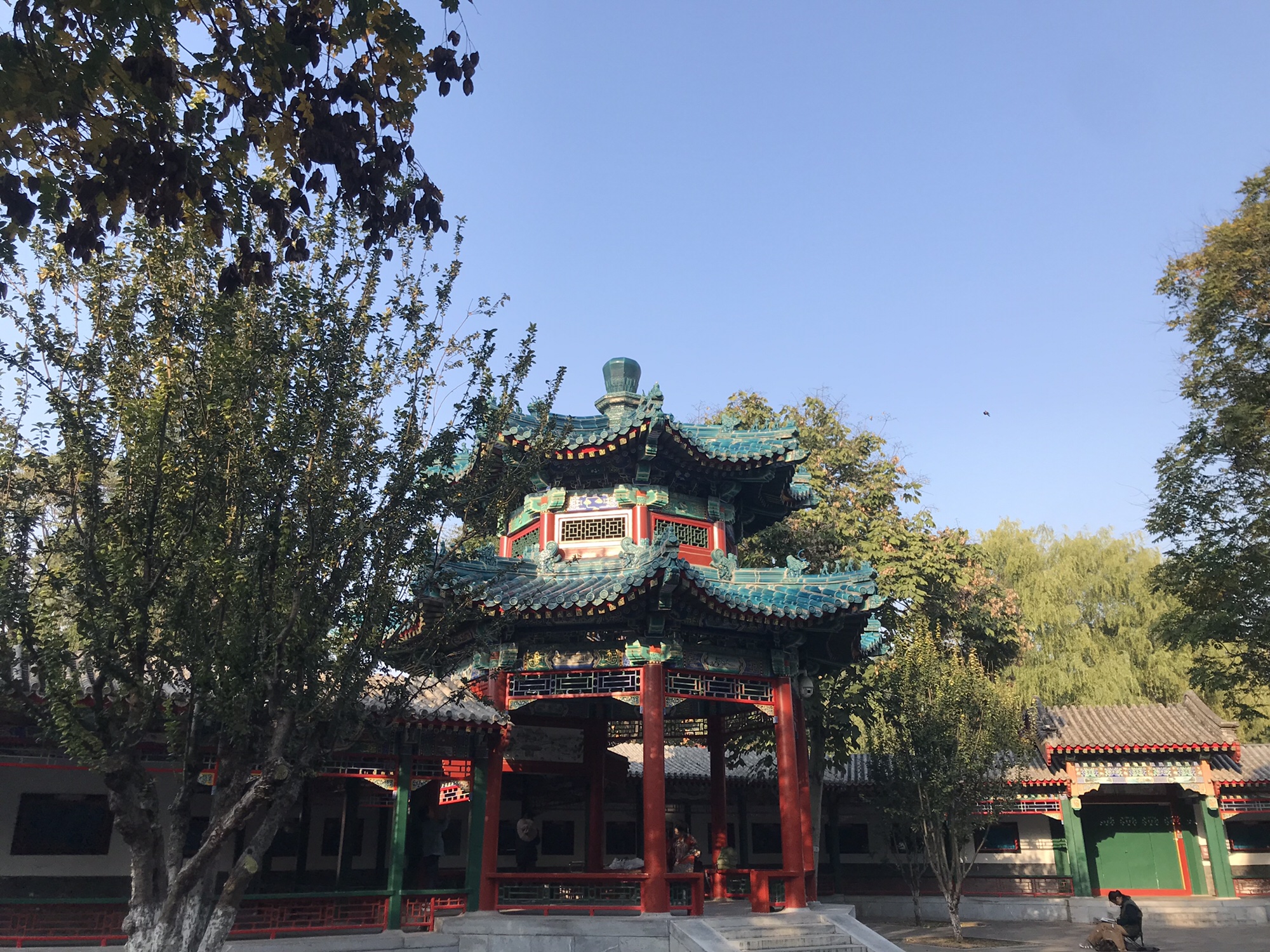 中山公园旅行图片 2