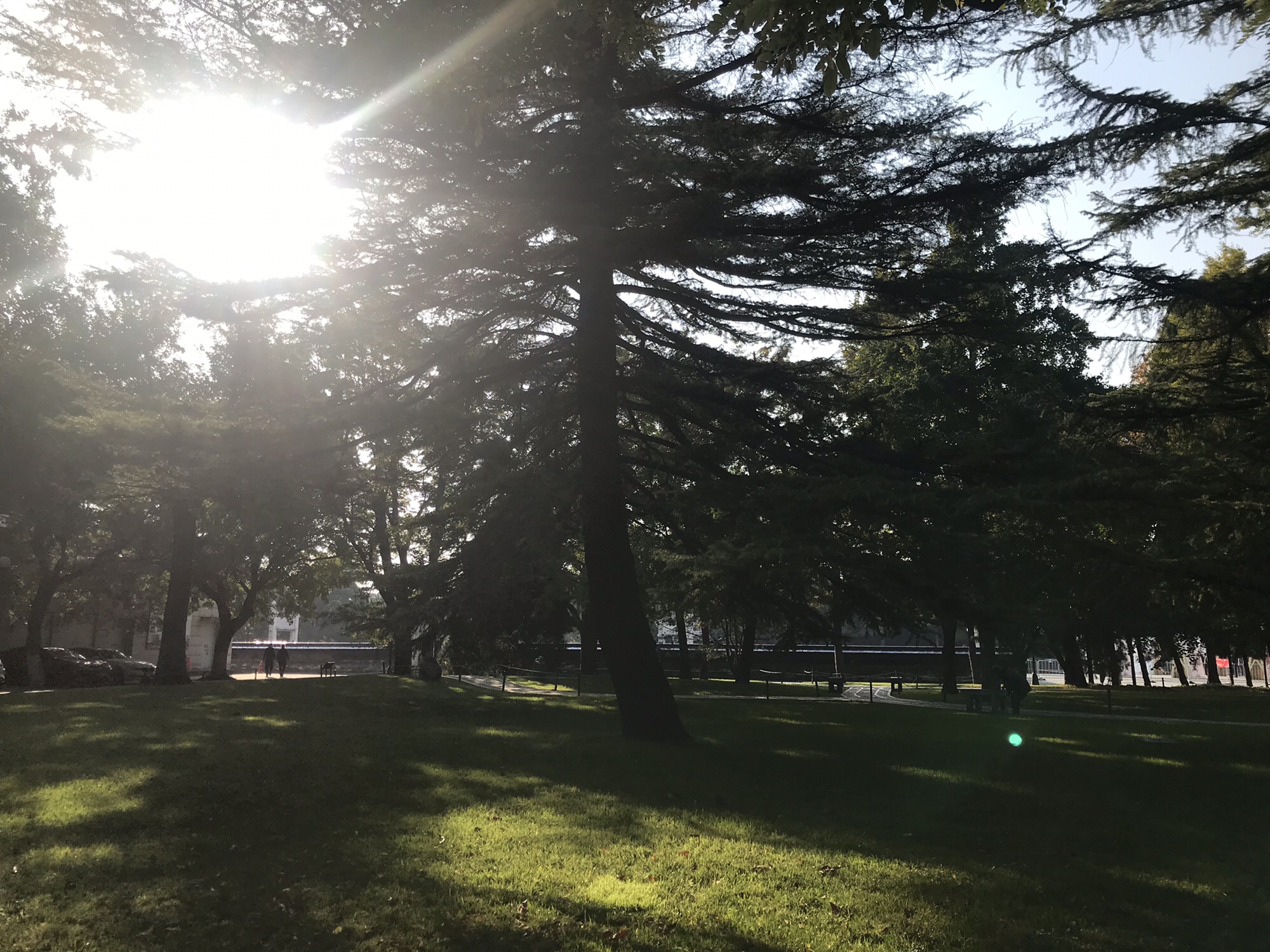 中山公园旅行图片 1