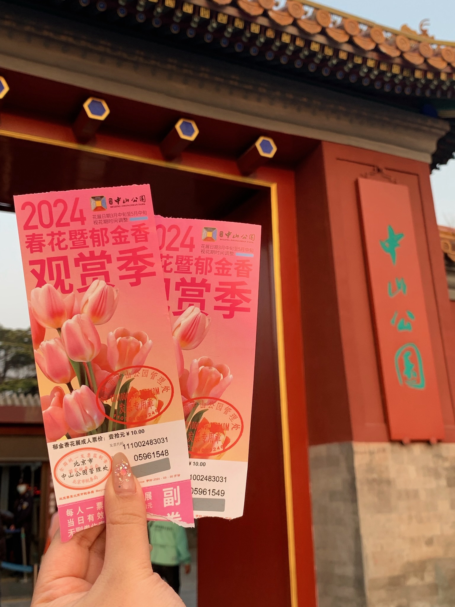 中山公园旅行图片 2