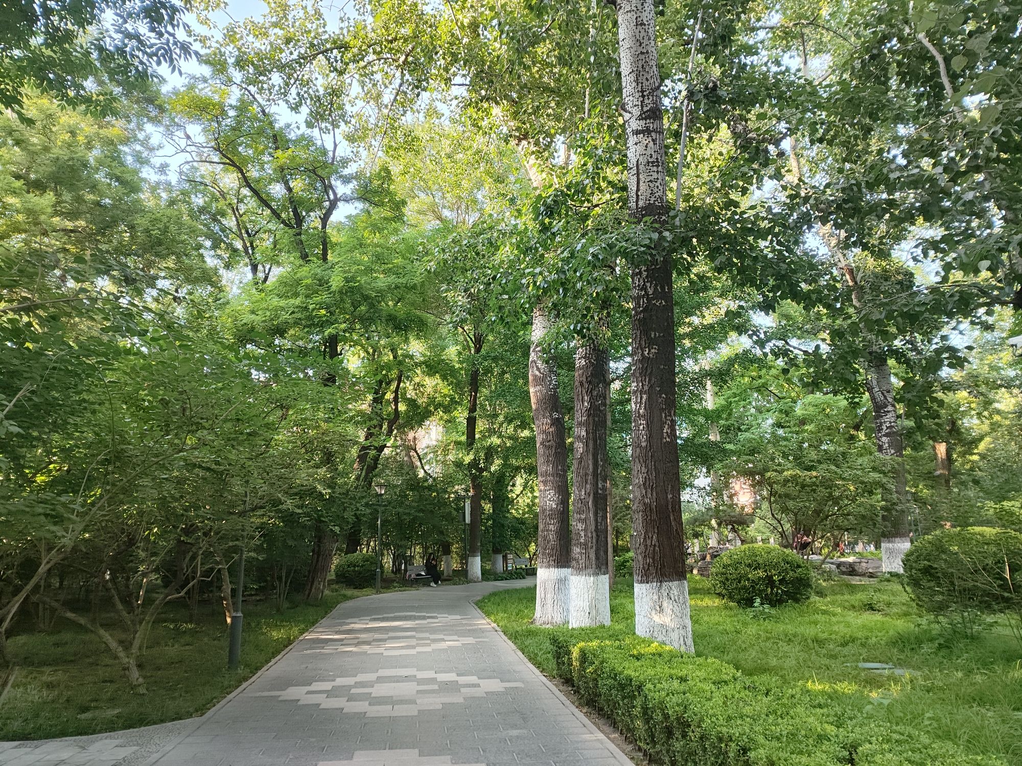 南馆公园旅行图片 2