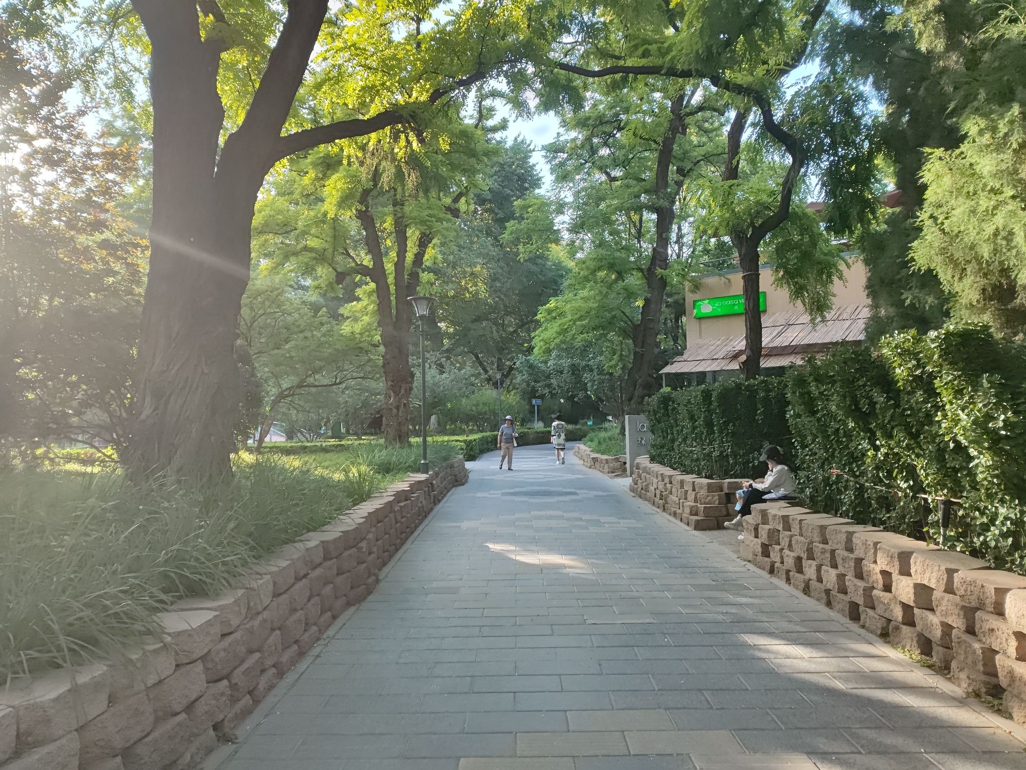 南馆公园旅行图片 3