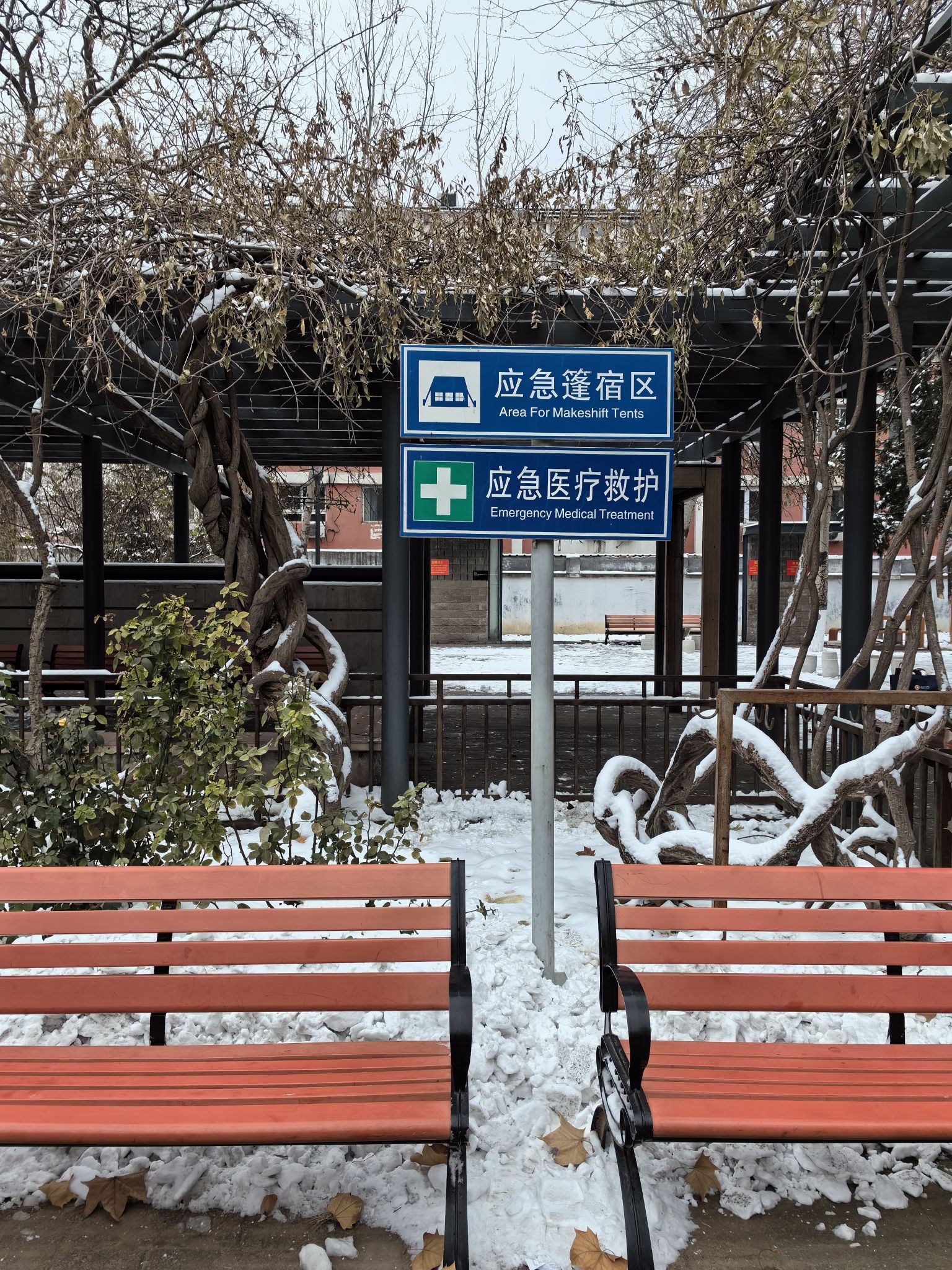 南馆公园旅行图片 2