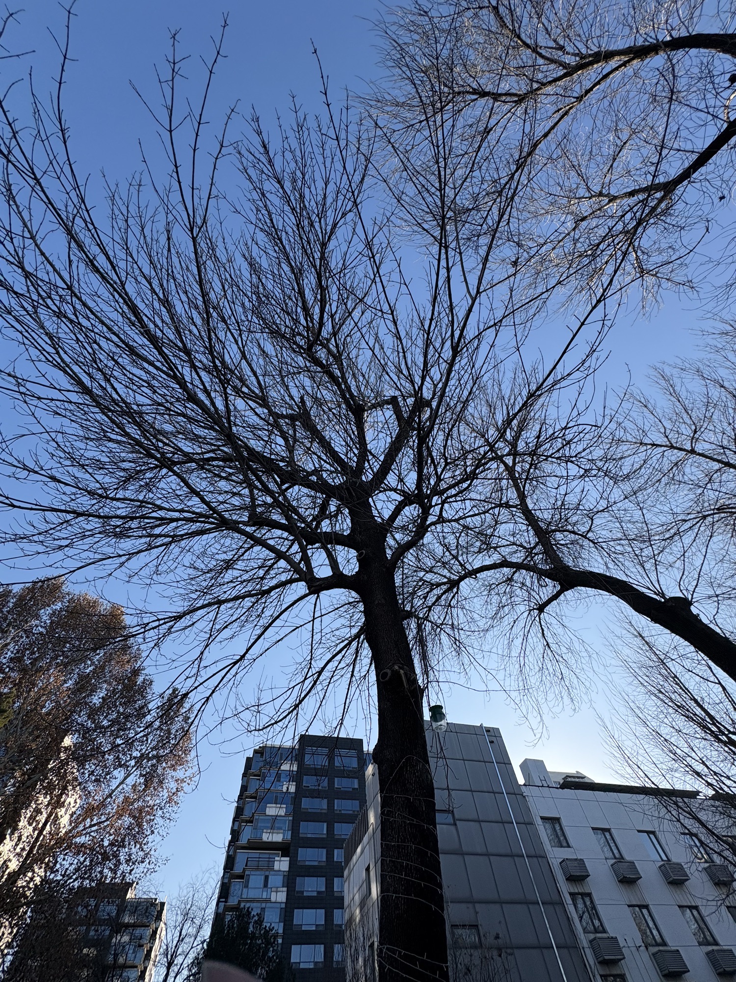 南馆公园旅行图片 1