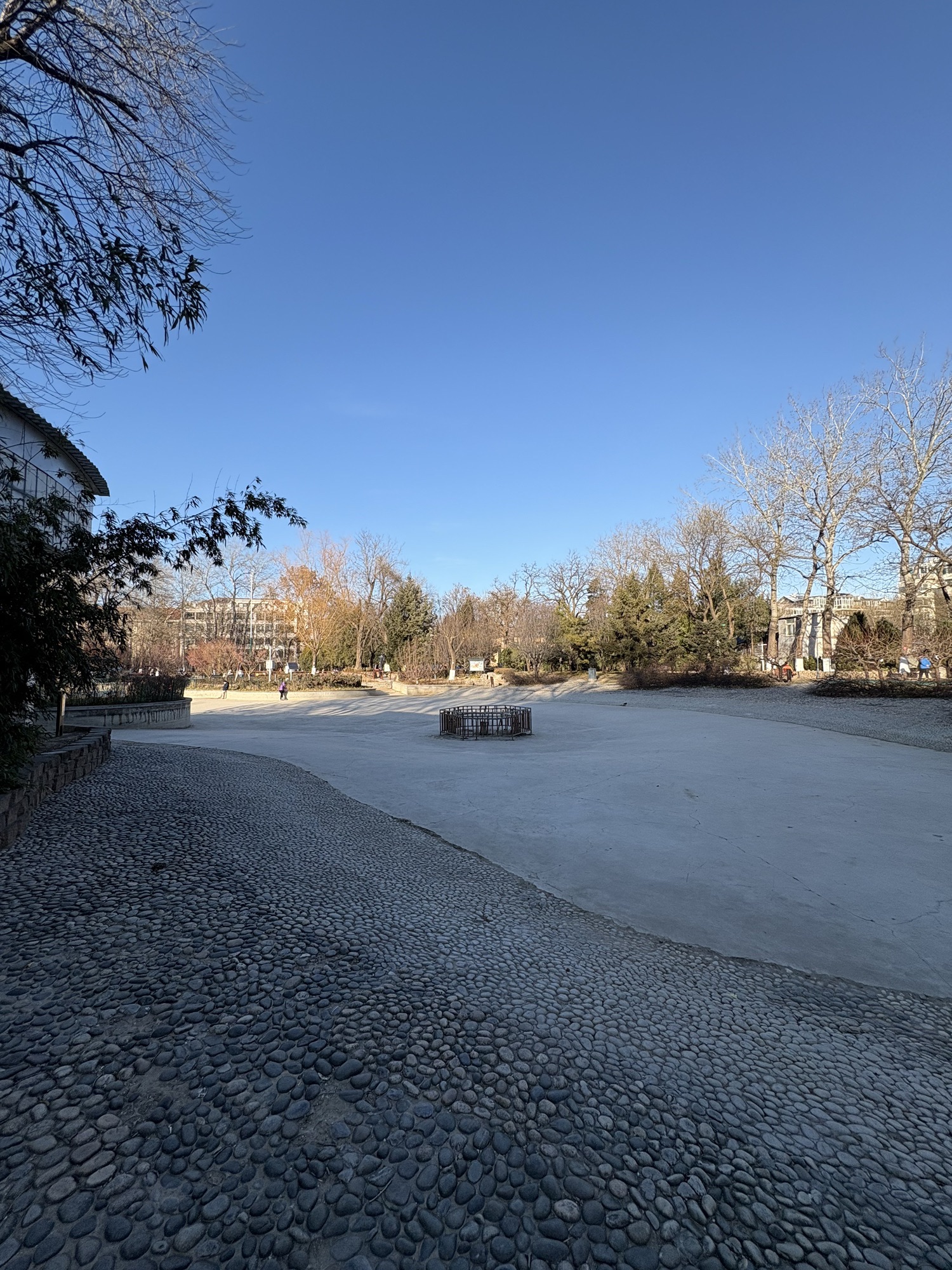 南馆公园旅行图片 3