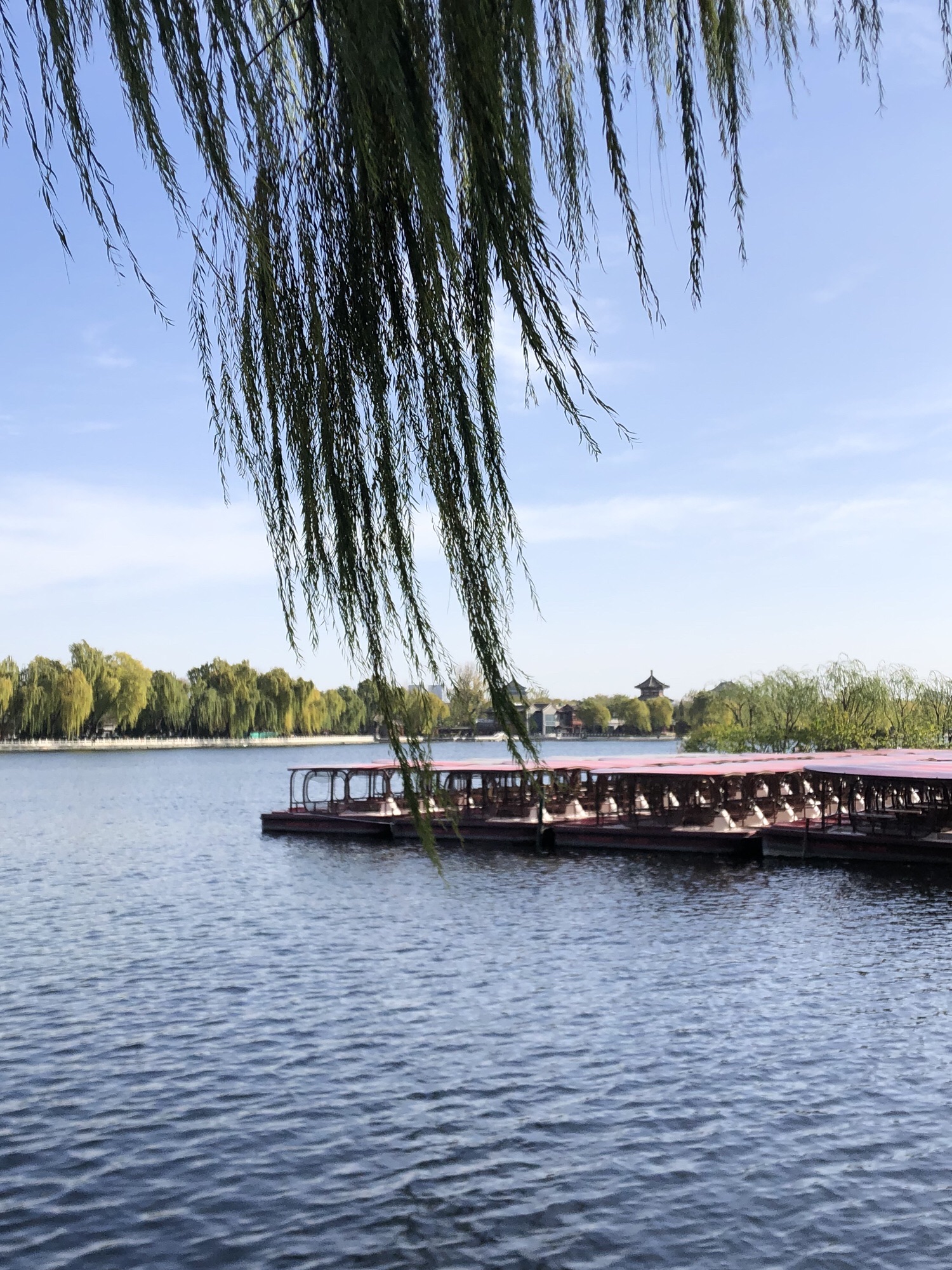 后海公园旅行图片 2