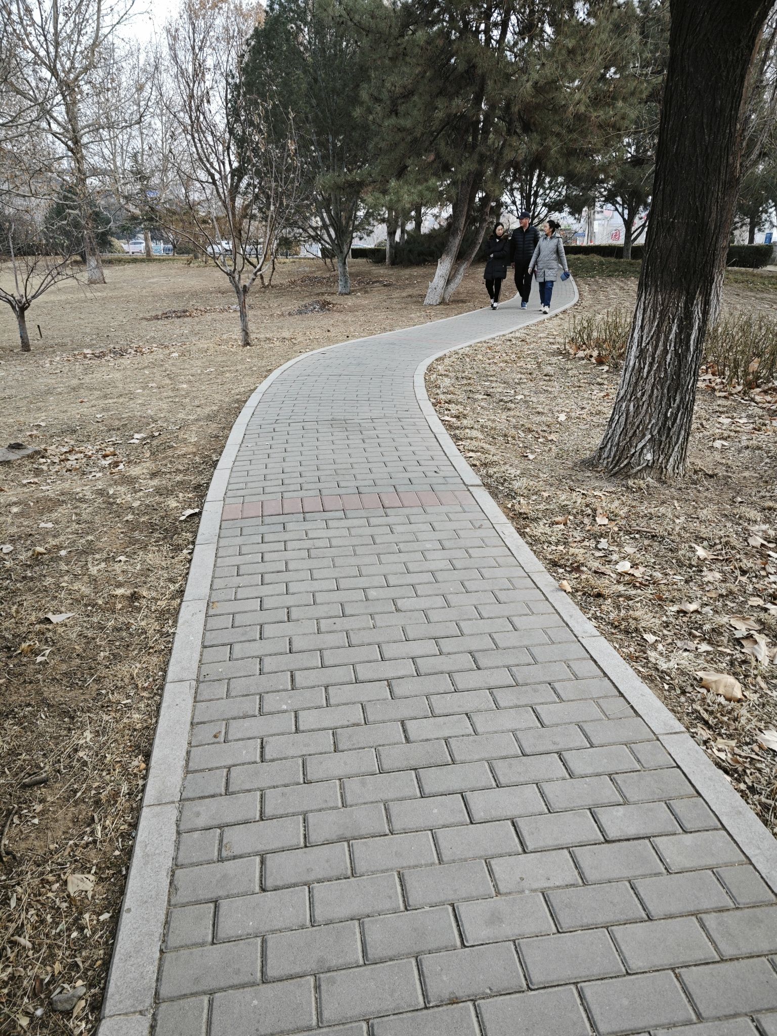 密虹公园旅行图片 1