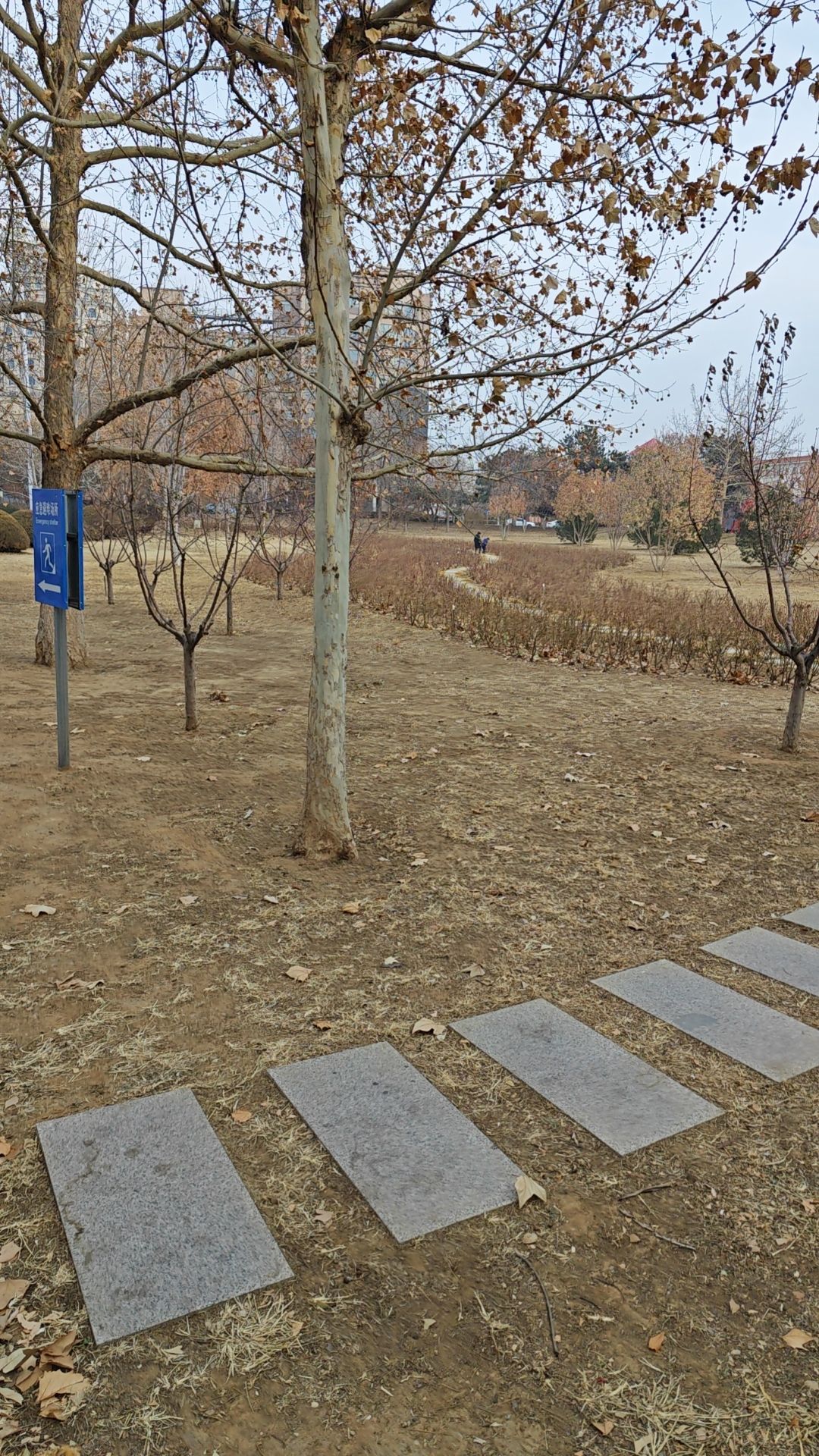 密虹公园旅行图片 2