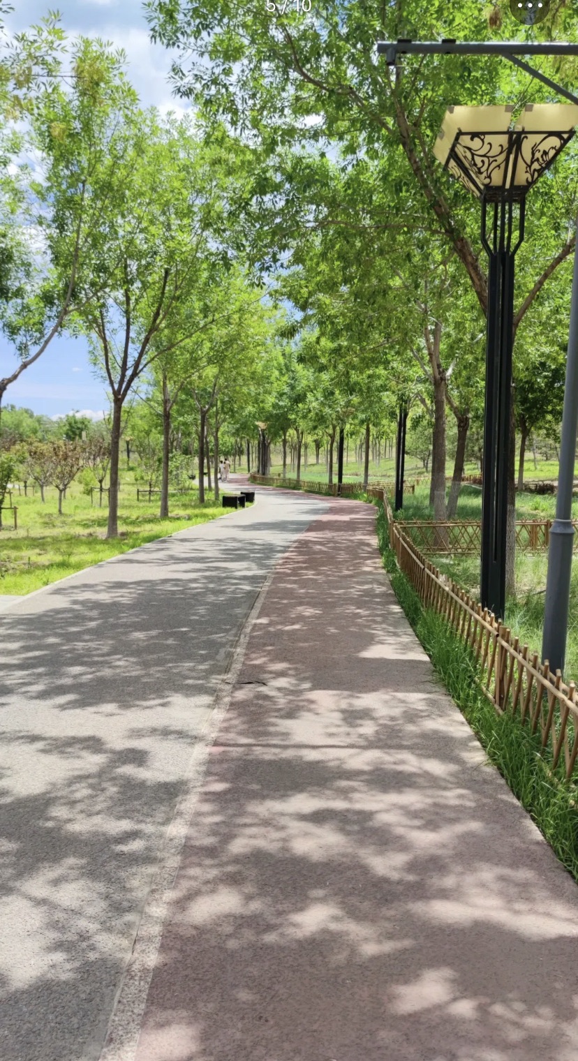 北京朝来森林公园旅行图片 2