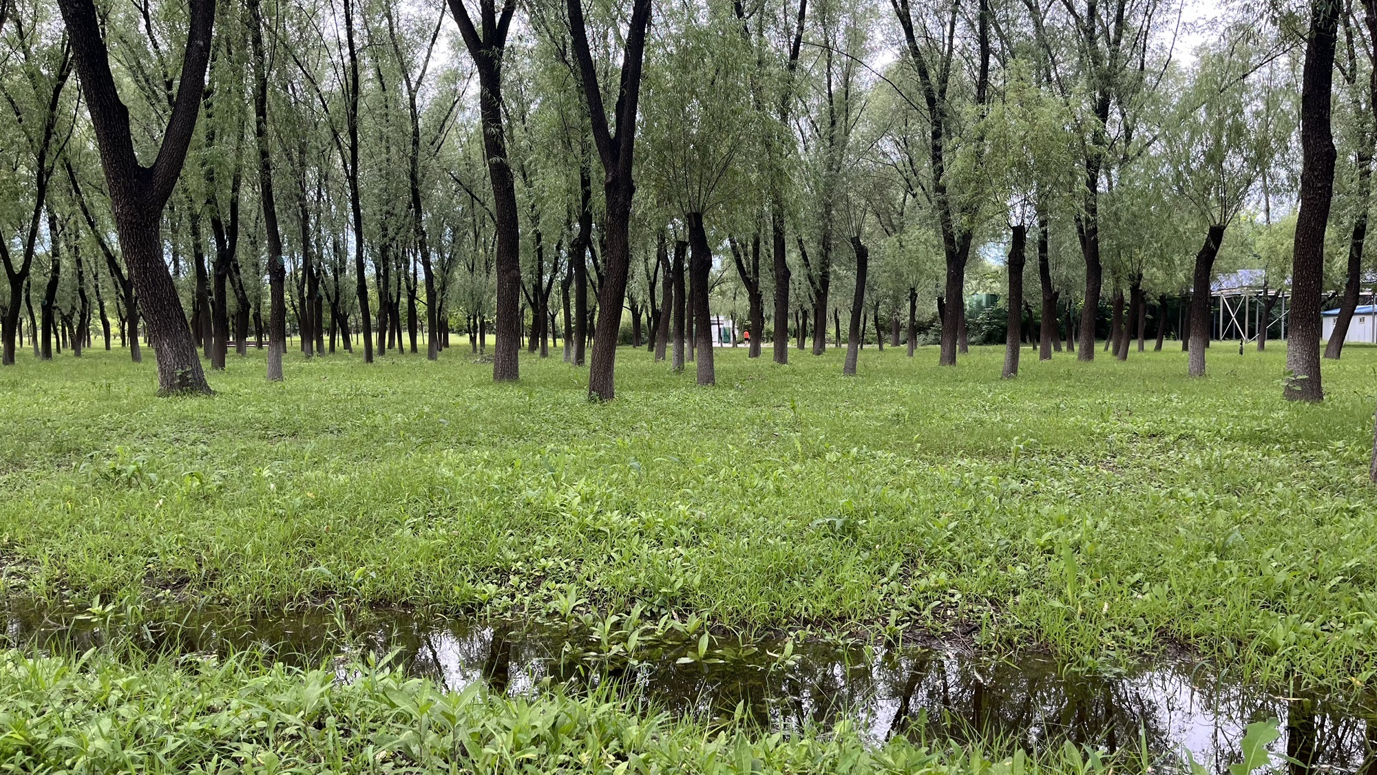北京朝来森林公园旅行图片 2
