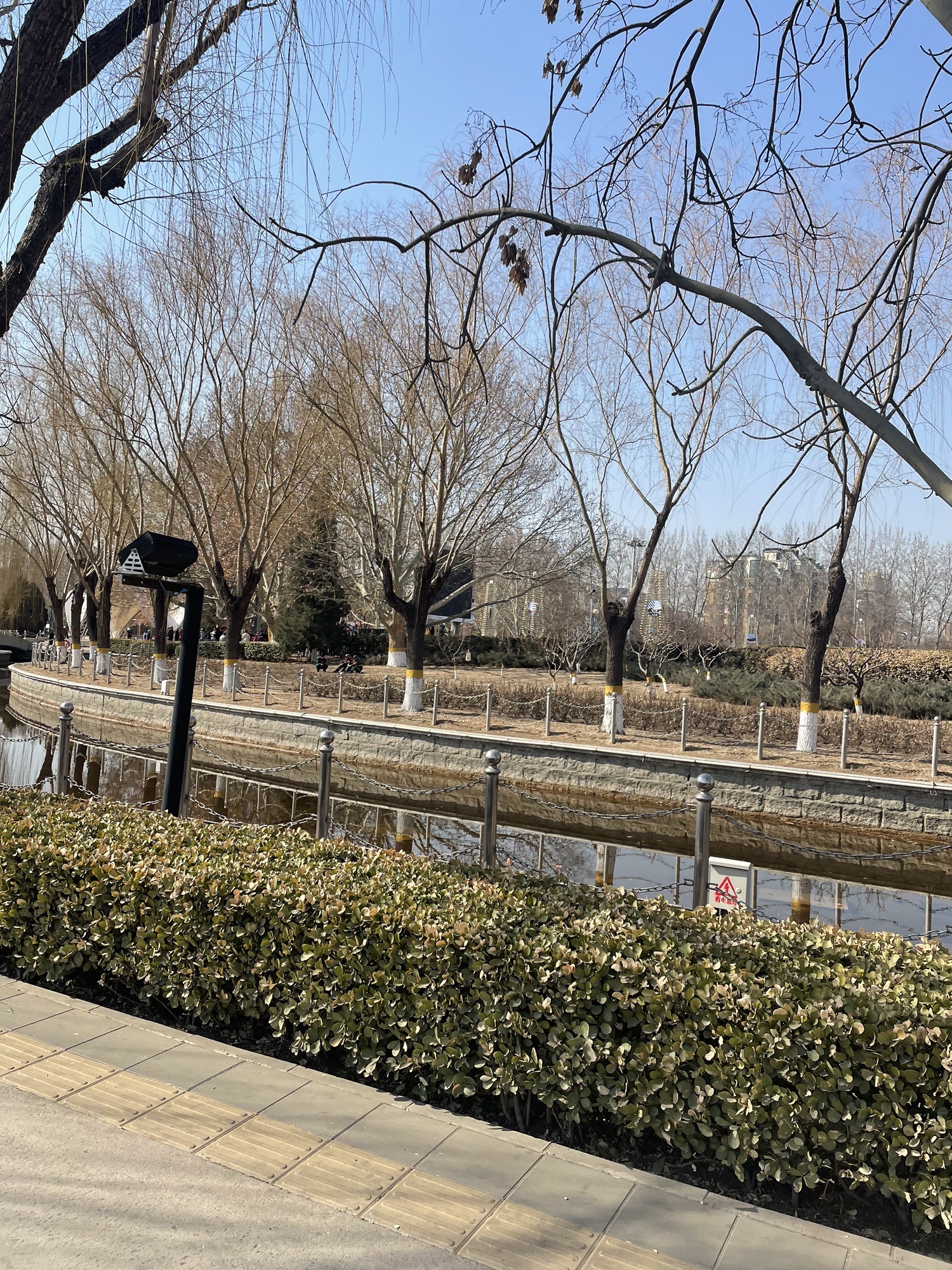 康庄公园旅行图片 2