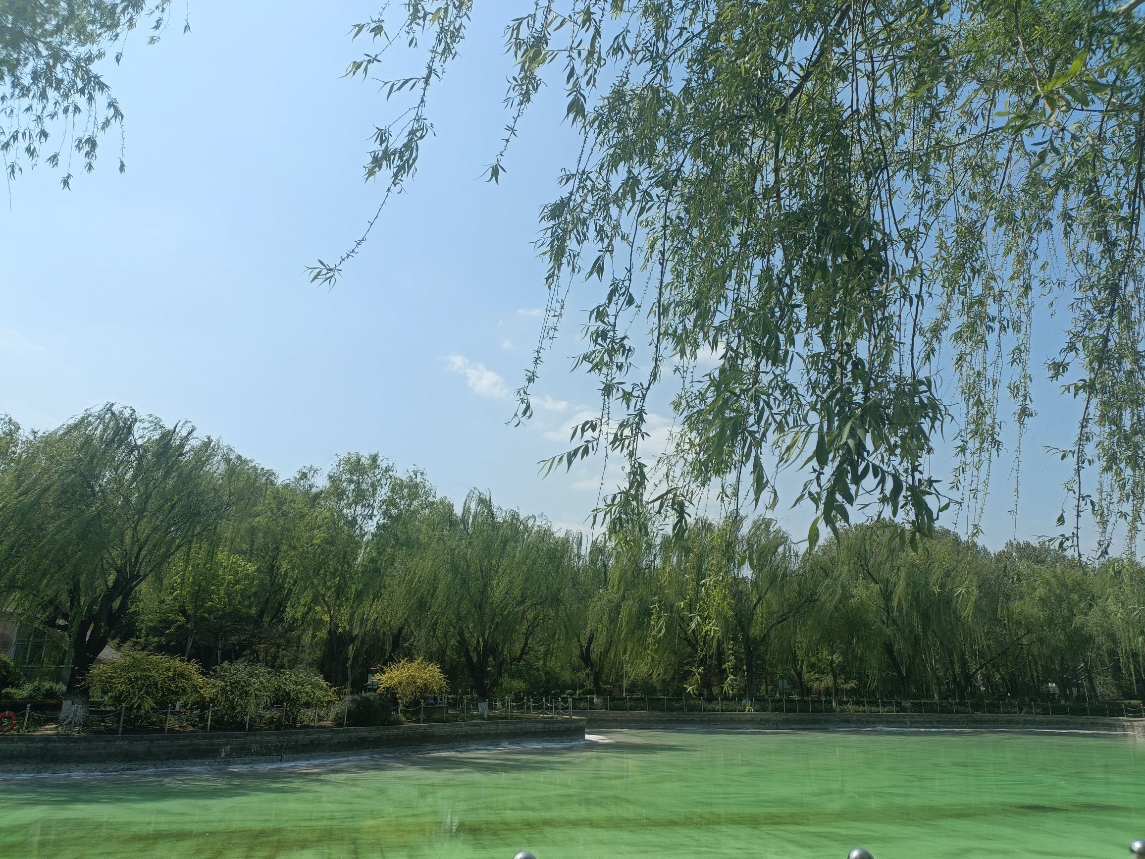 康庄公园旅行图片 1