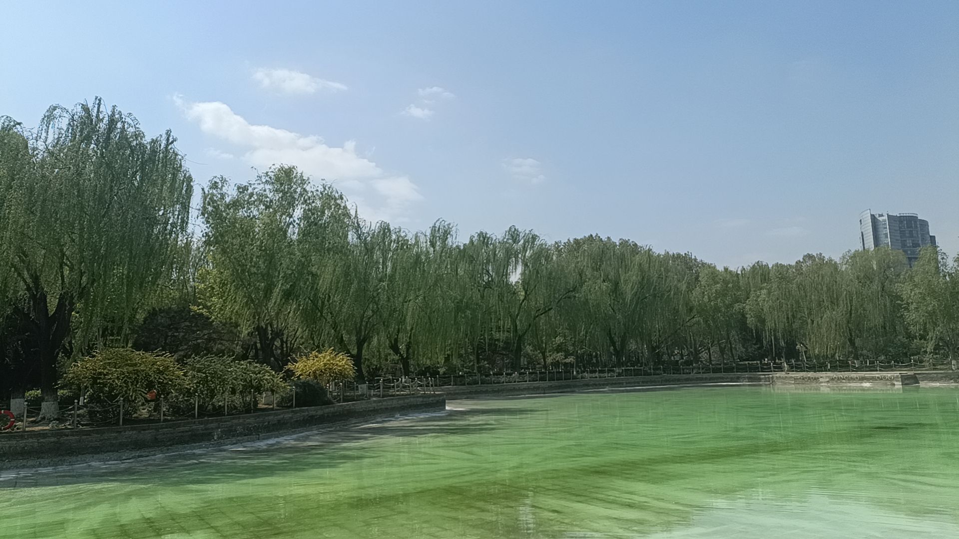 康庄公园旅行图片 2