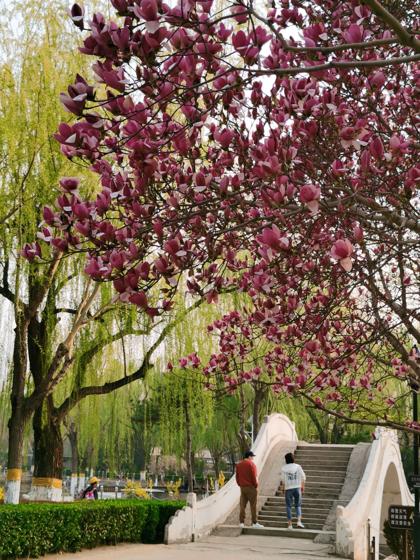 康庄公园旅行图片 3