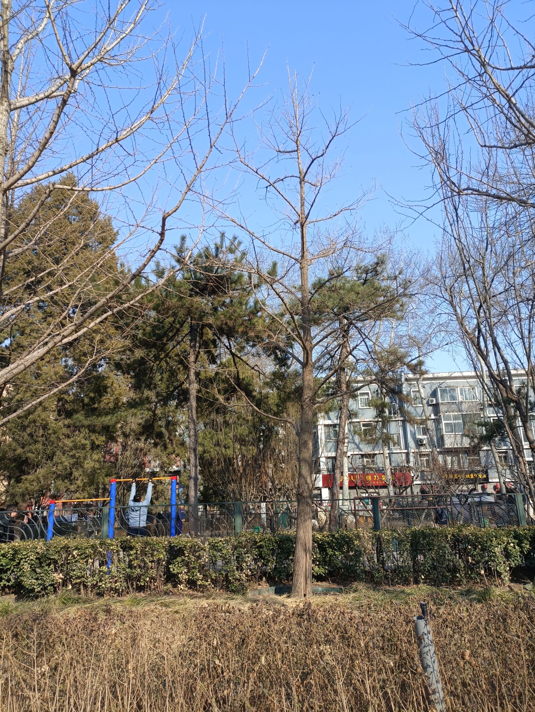 老来乐文化广场旅行图片 2