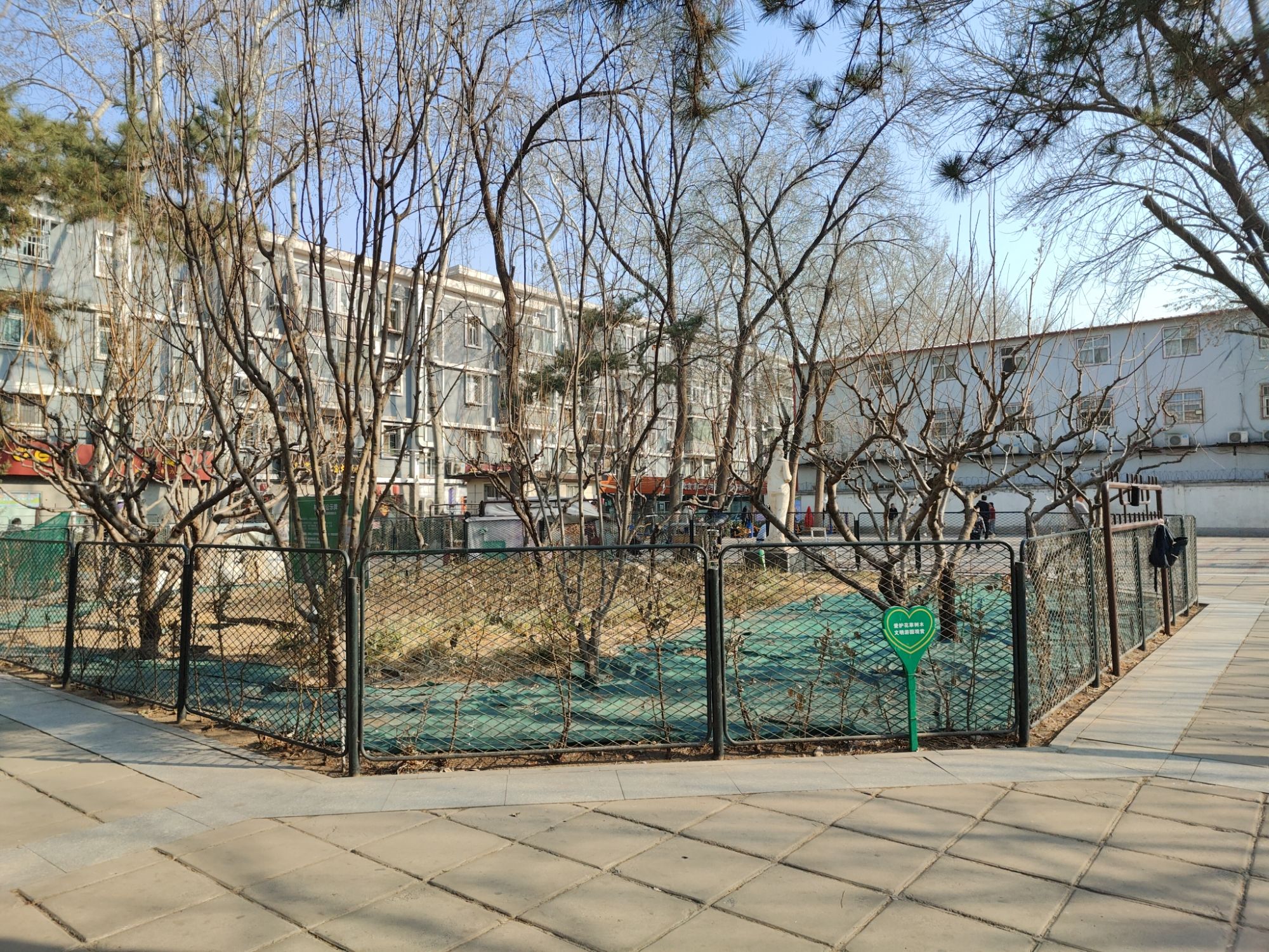 老来乐文化广场旅行图片 3