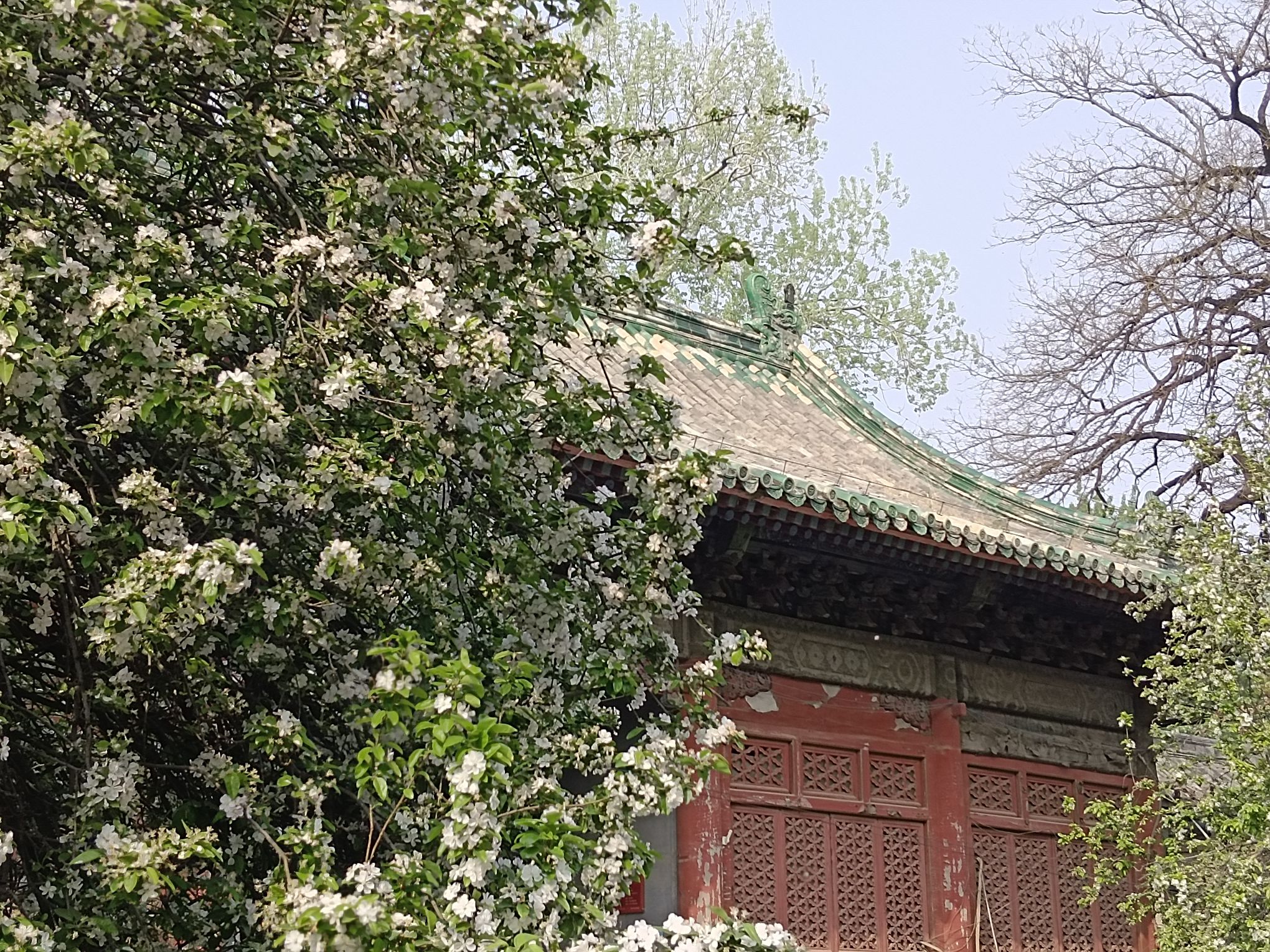 孚王府(不对外开放)旅行图片 2