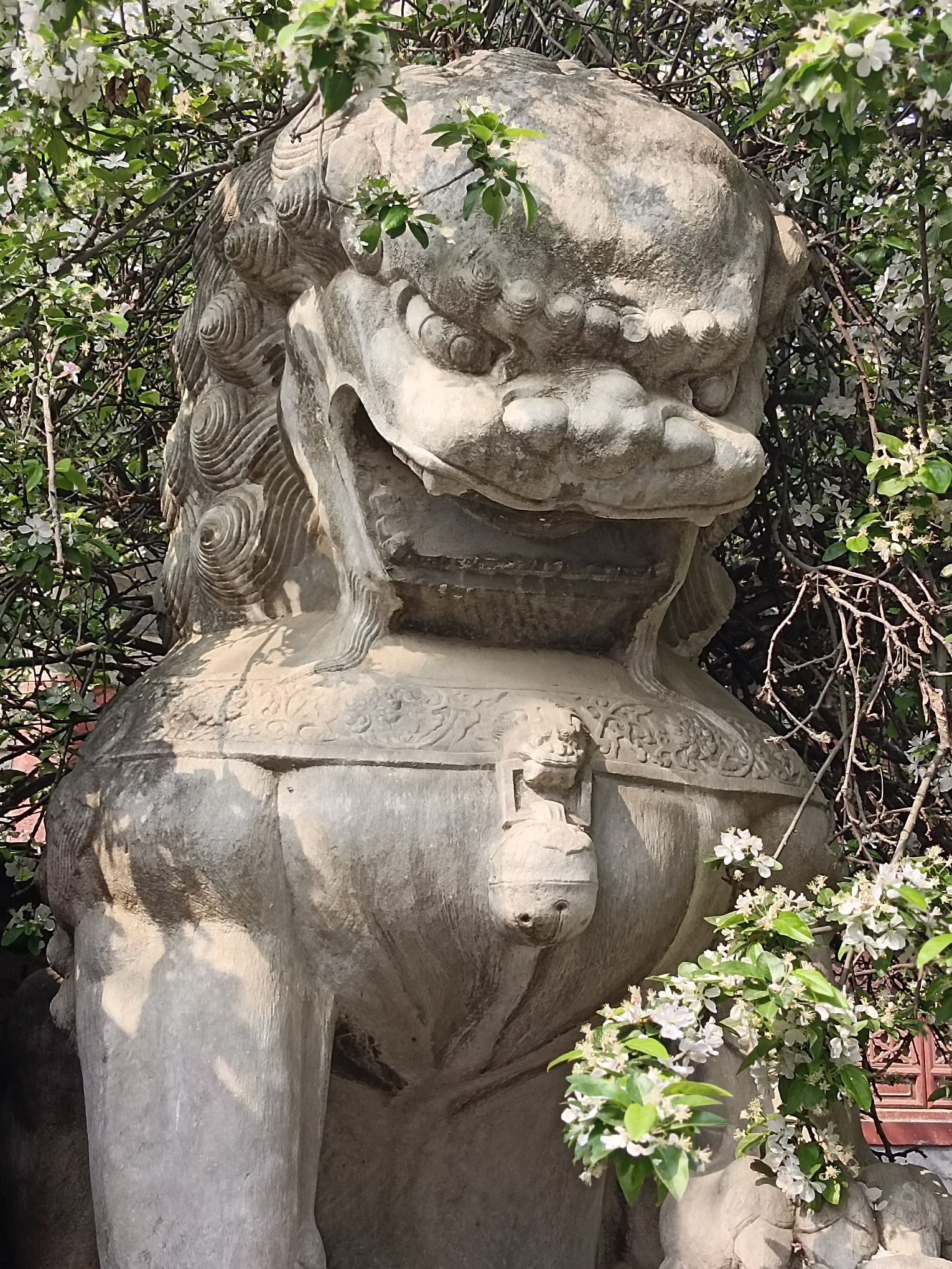 孚王府(不对外开放)旅行图片 3