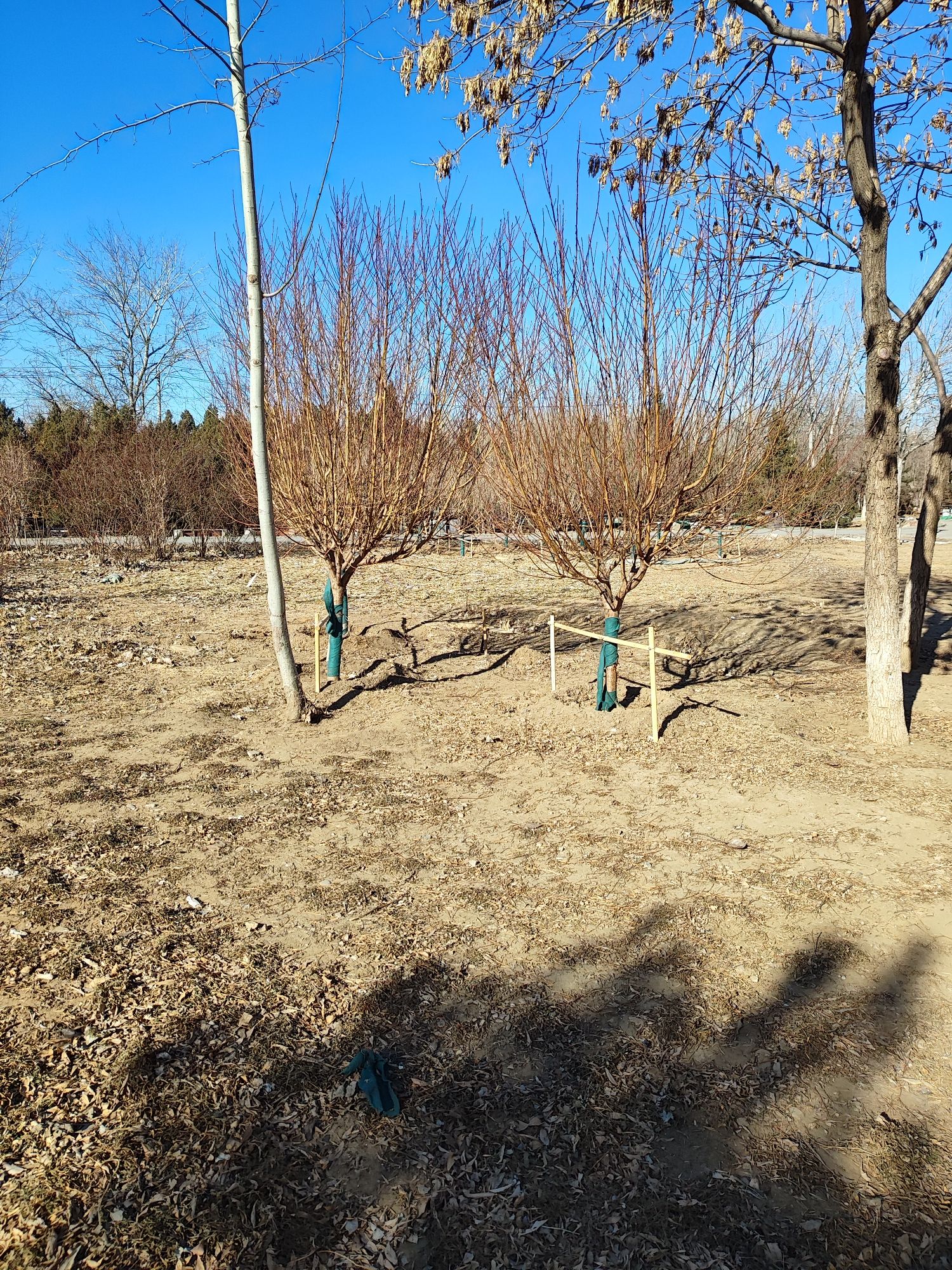 万丰公园旅行图片 2