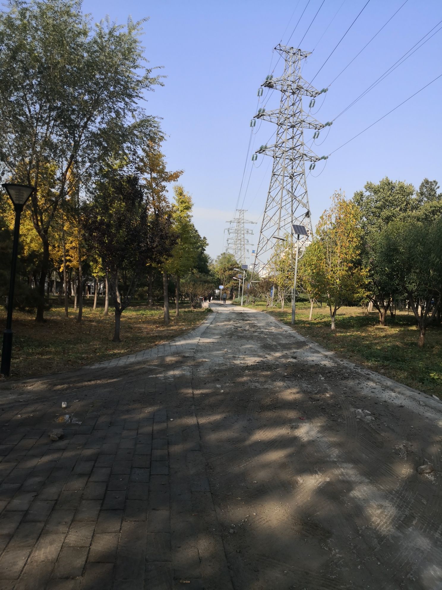 万丰公园旅行图片 2