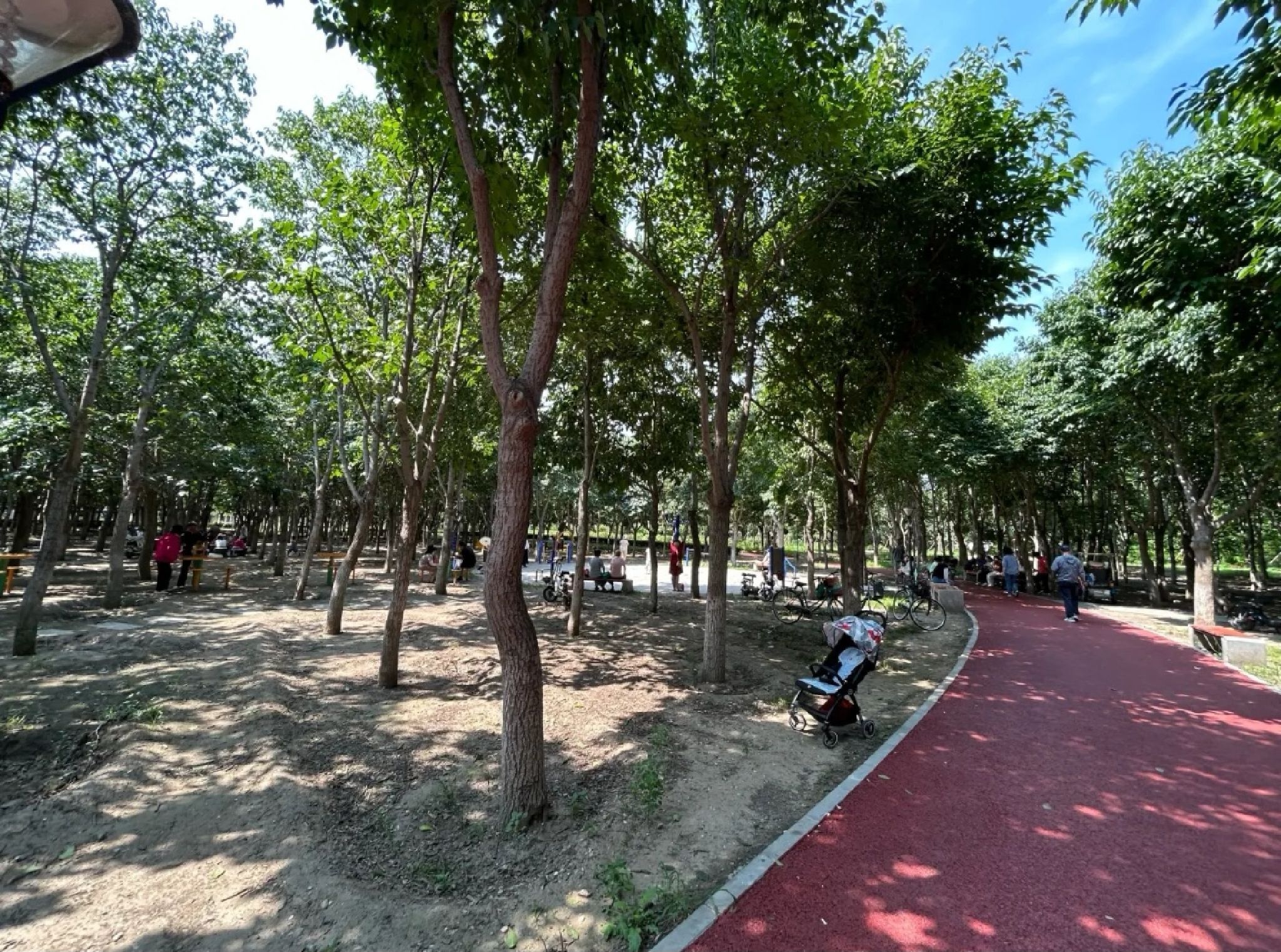 万丰公园旅行图片 3