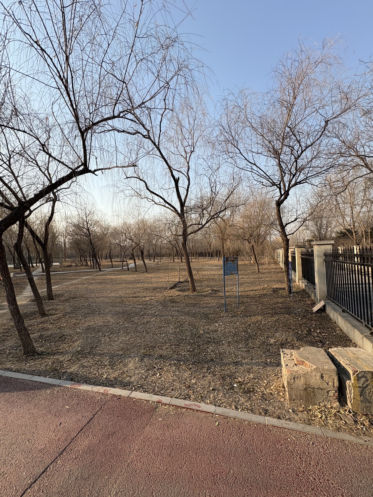 万丰公园旅行图片 1