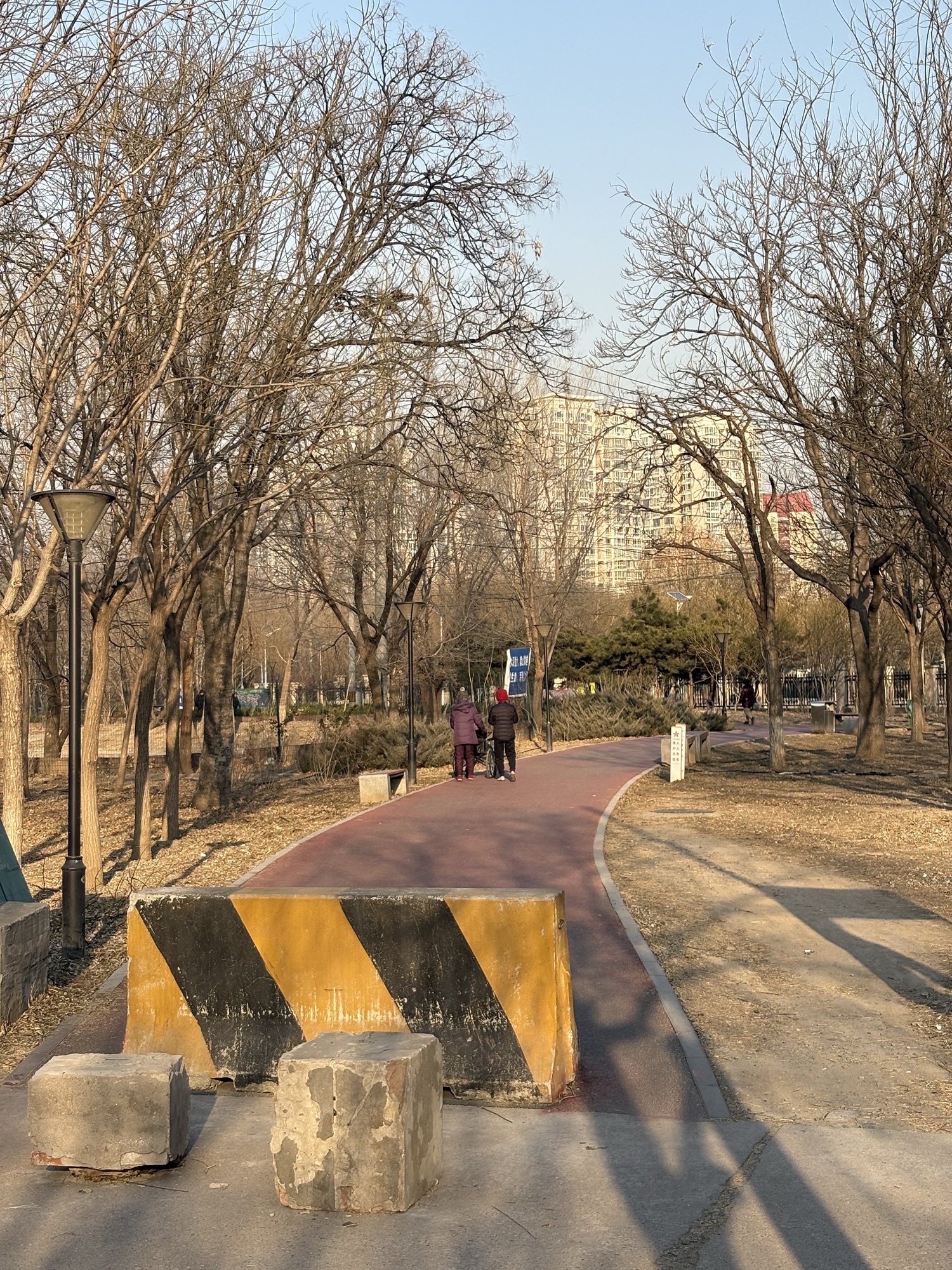 万丰公园旅行图片 3