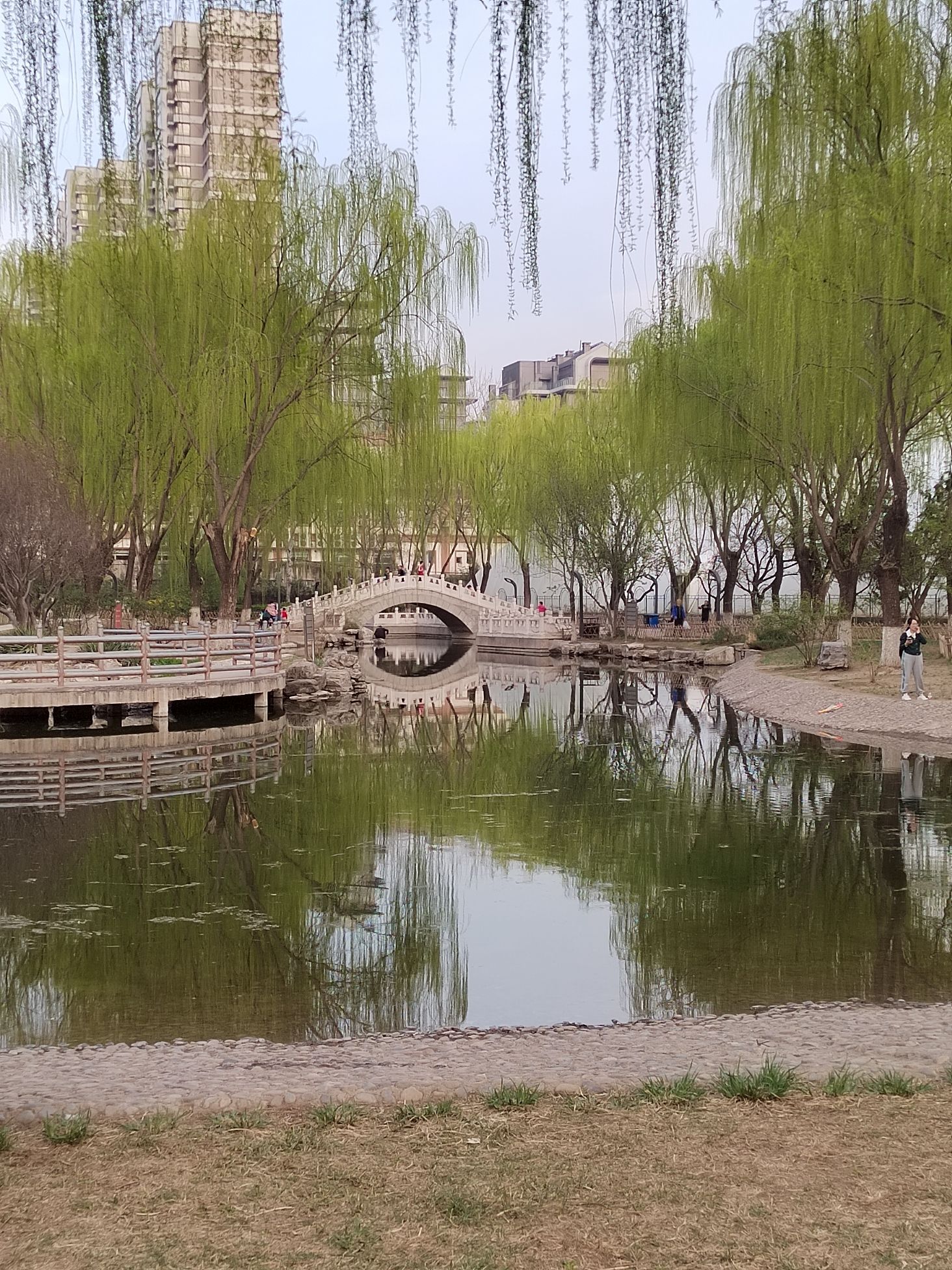 丰台区国防动员主题公园旅行图片 1