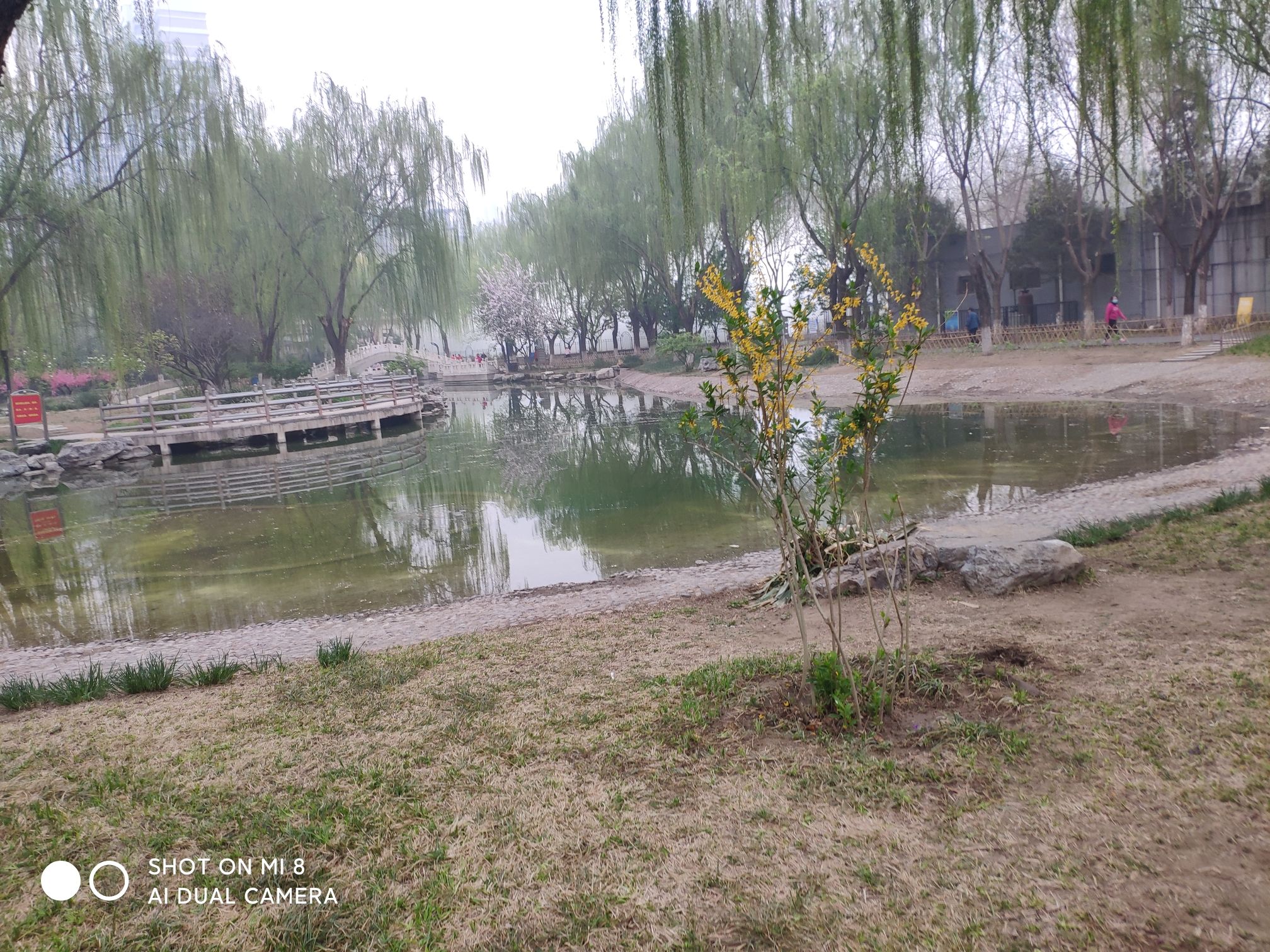 丰台区国防动员主题公园旅行图片 3