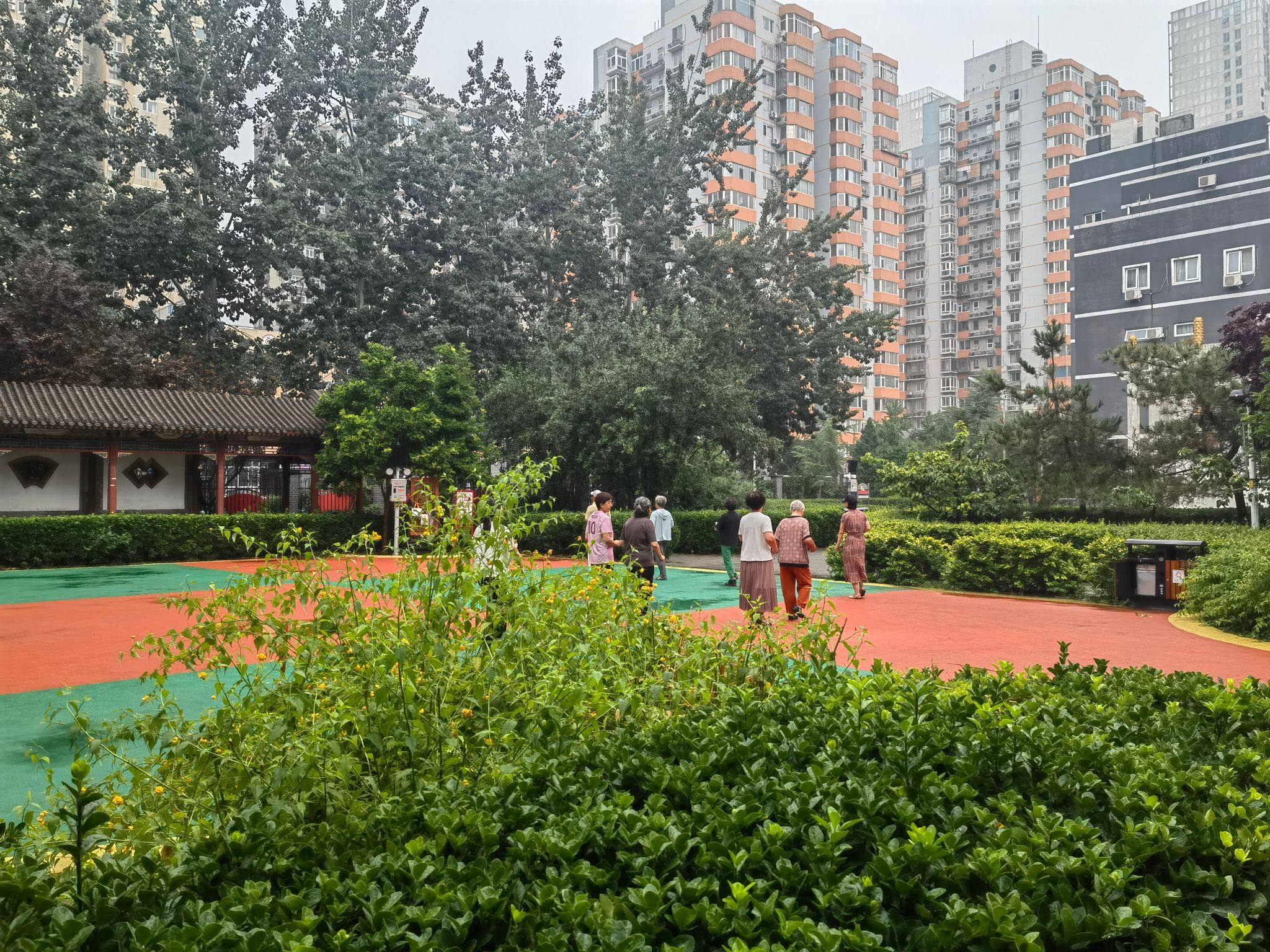 玉兰苑旅行图片 1