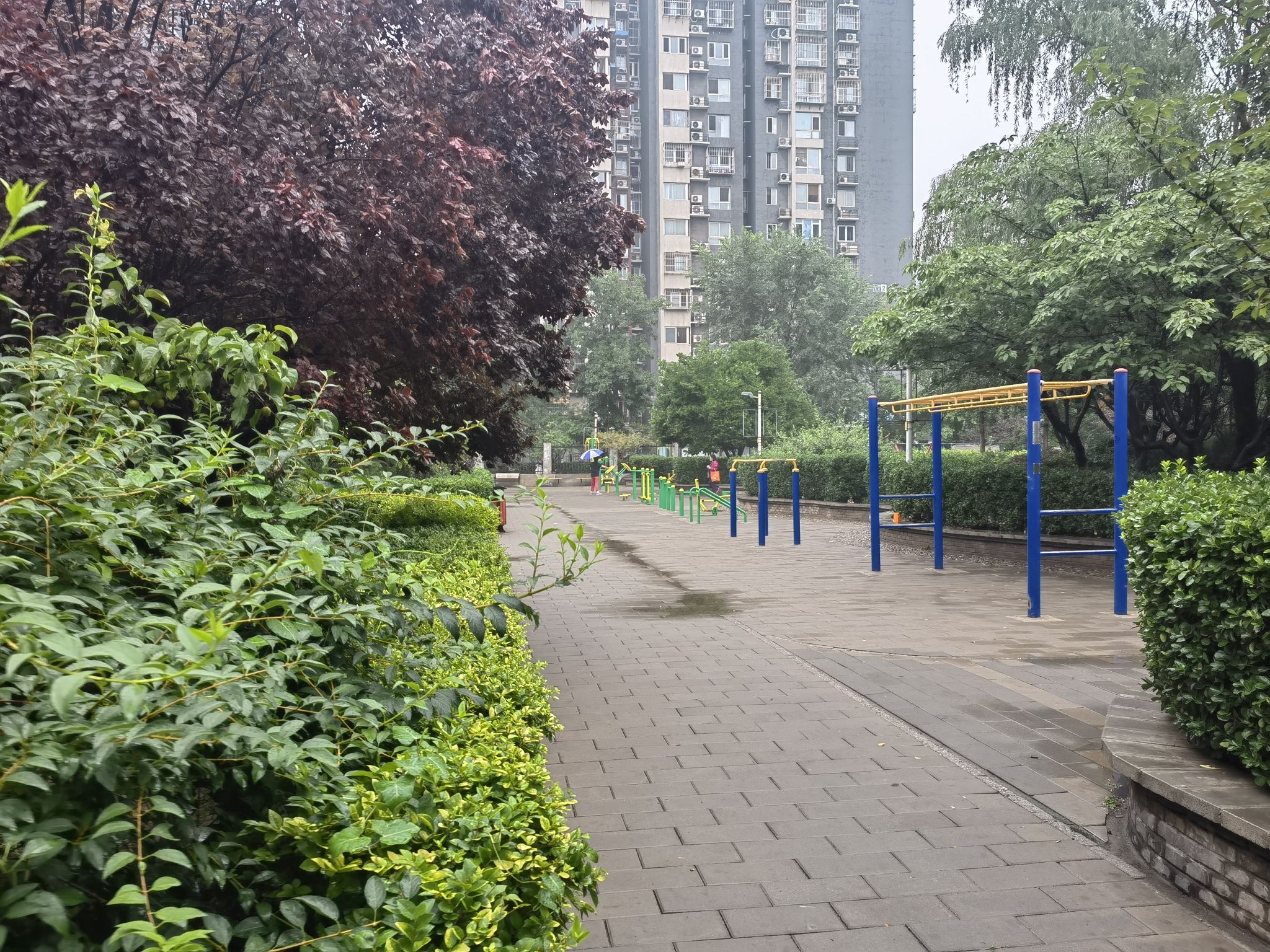 玉兰苑旅行图片 3