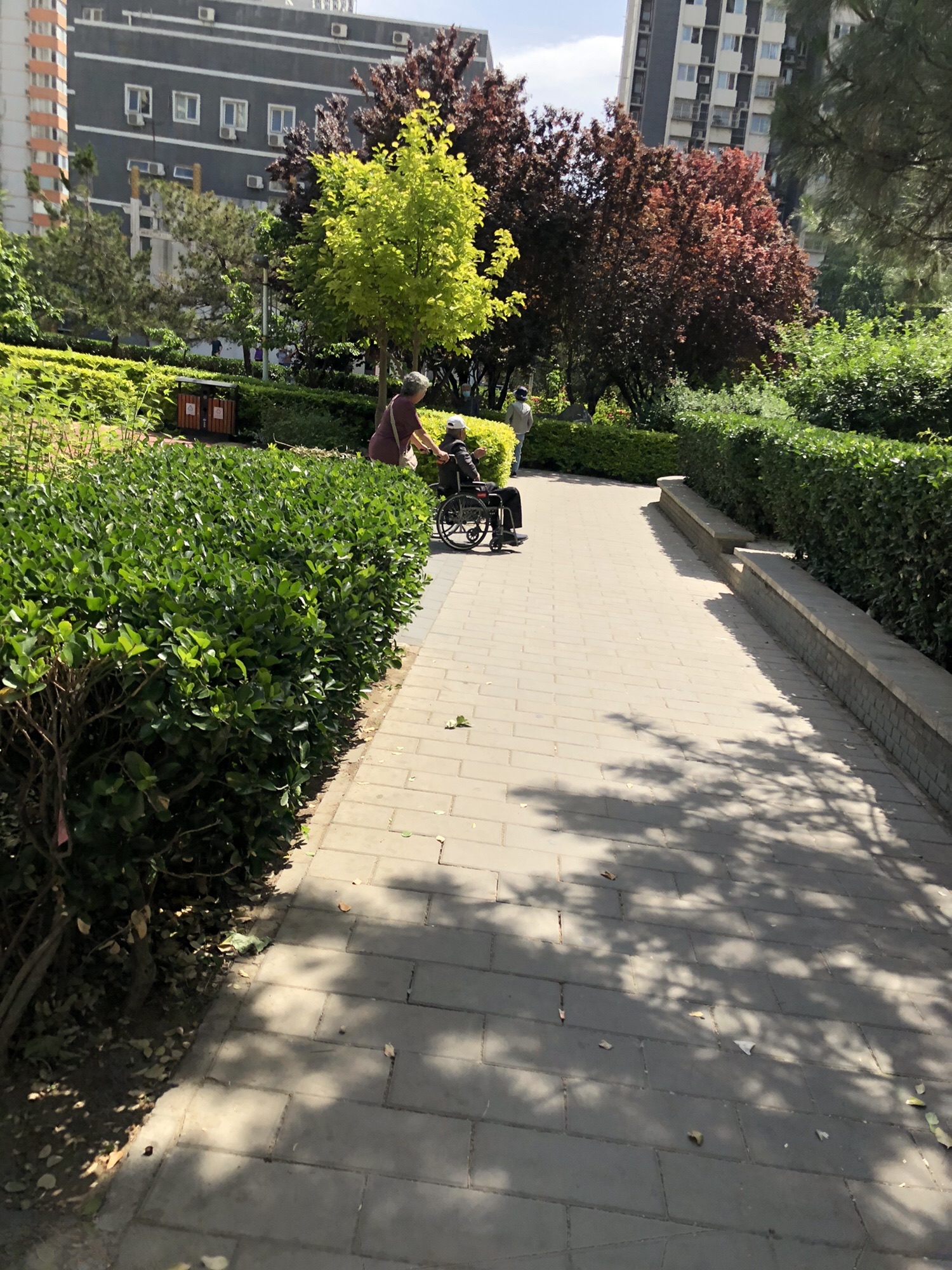 玉兰苑旅行图片 3