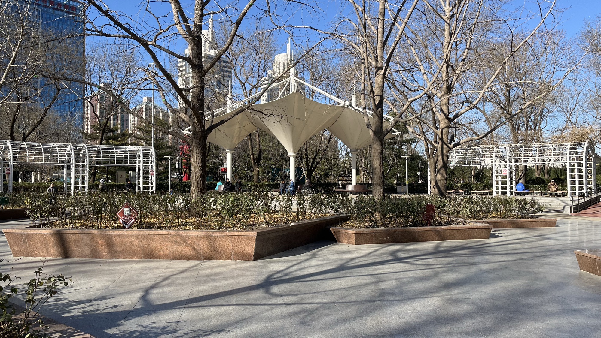 玫瑰公园旅行图片 2