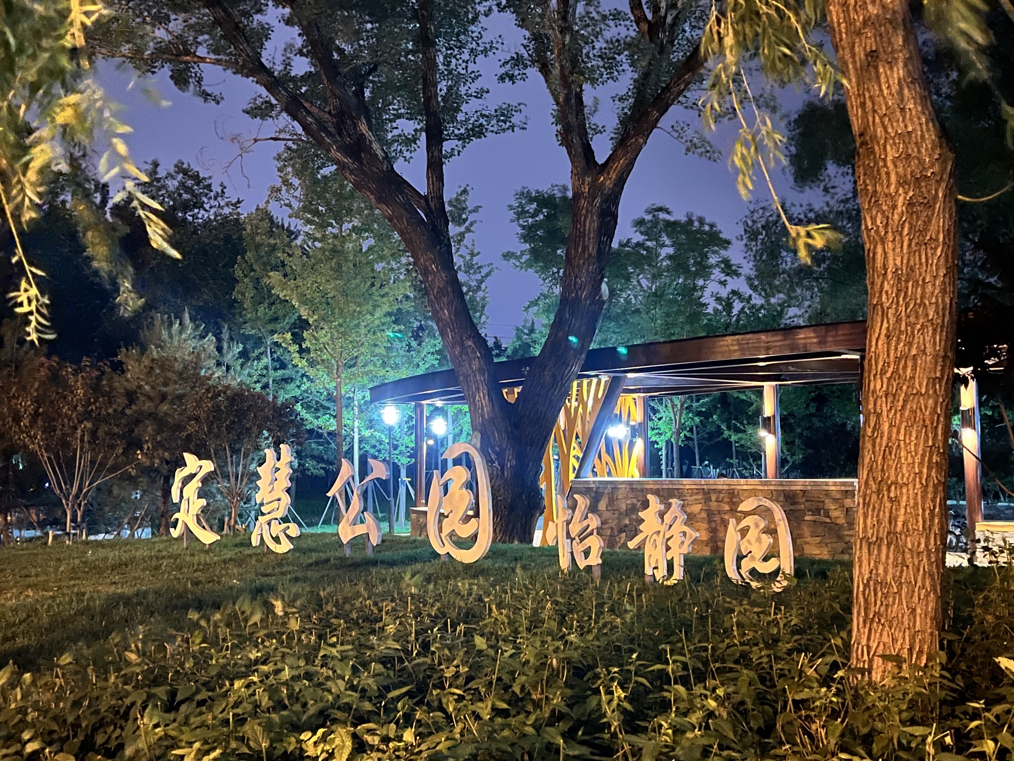 定慧公园旅行图片 1