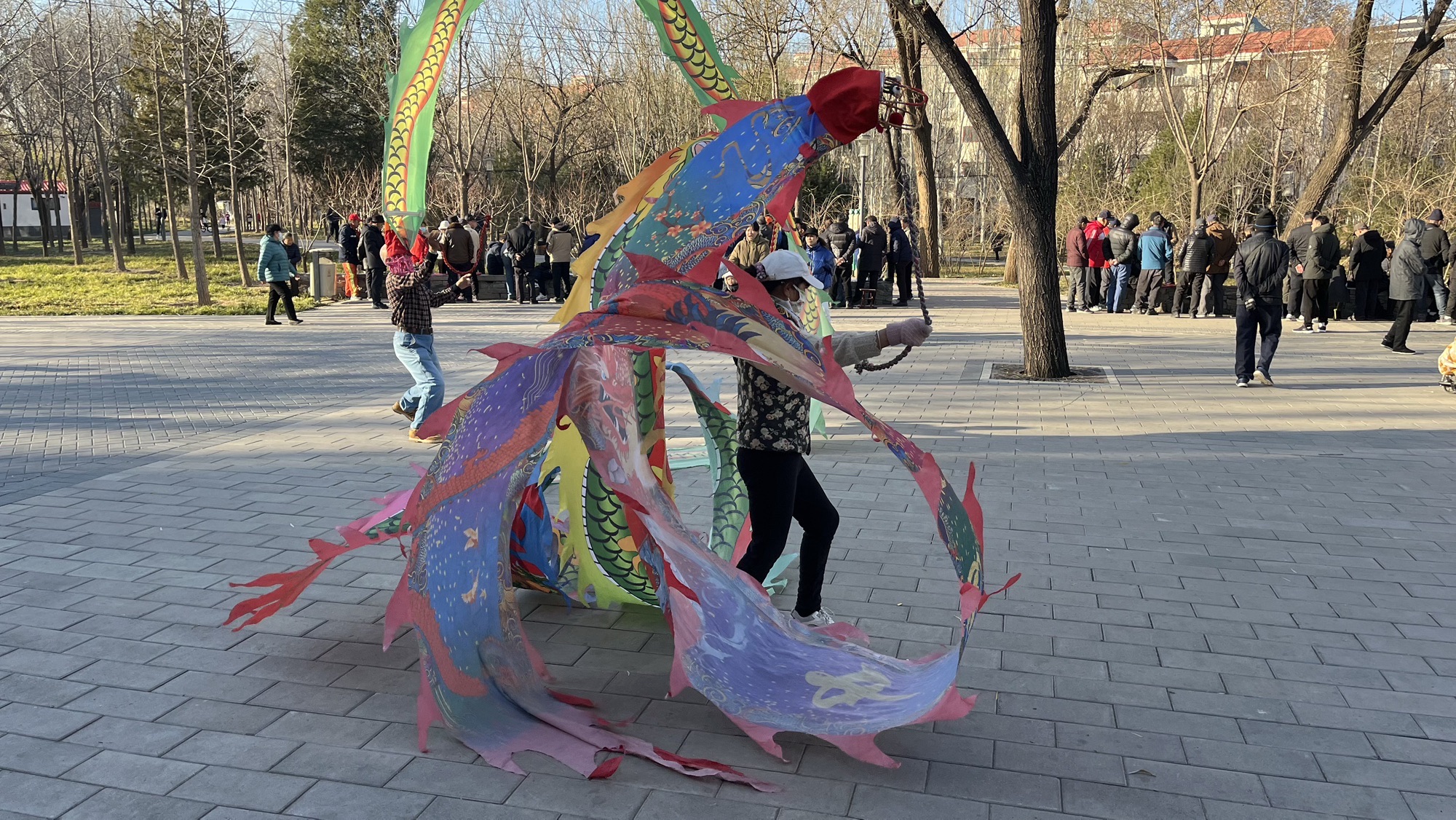 定慧公园旅行图片 1