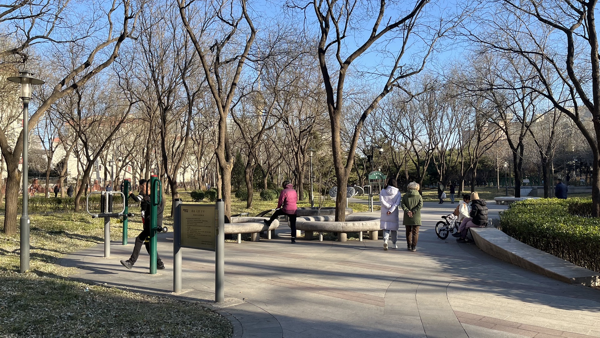 定慧公园旅行图片 3