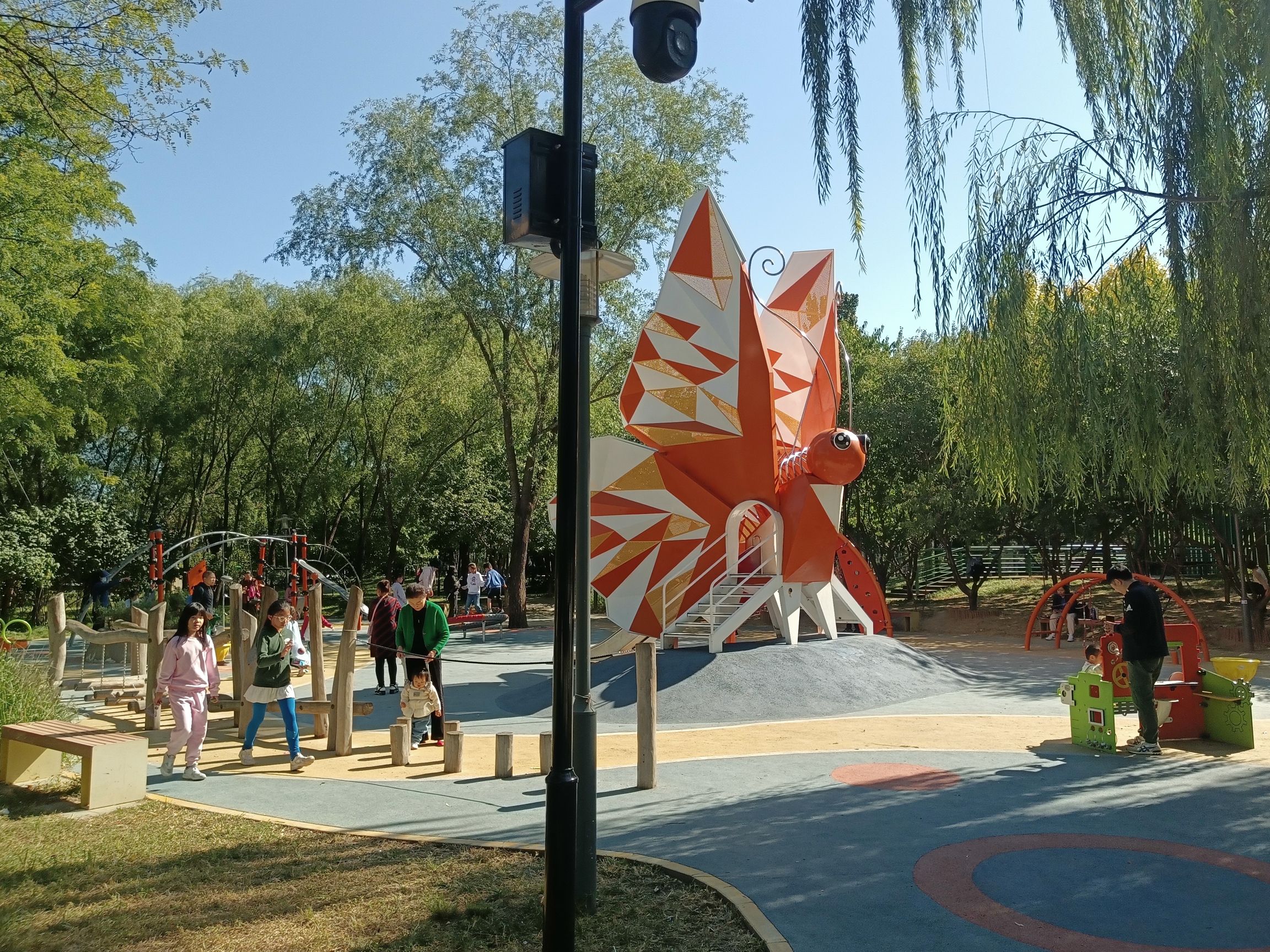 定慧公园旅行图片 2