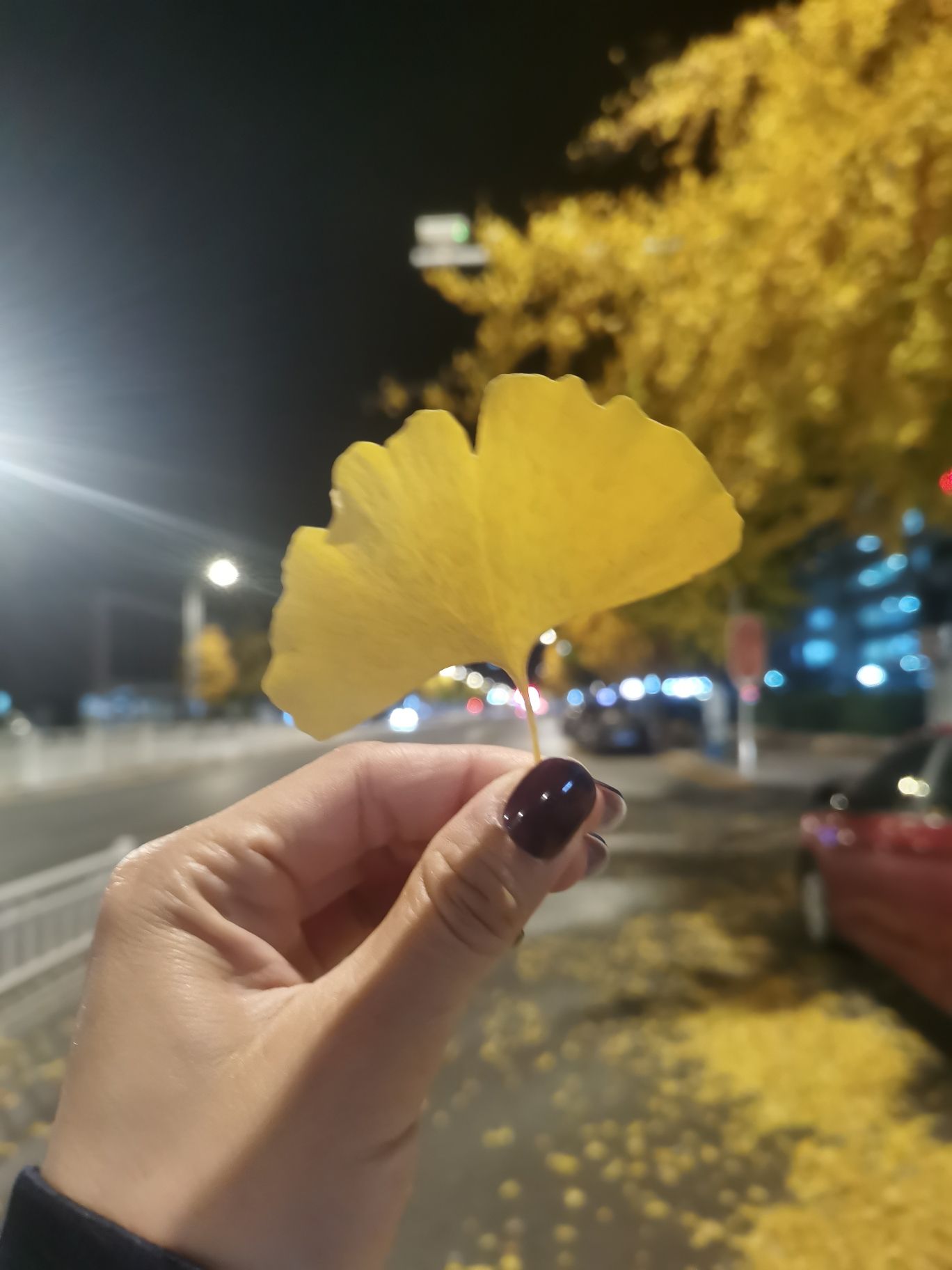 三角地广场旅行图片 2