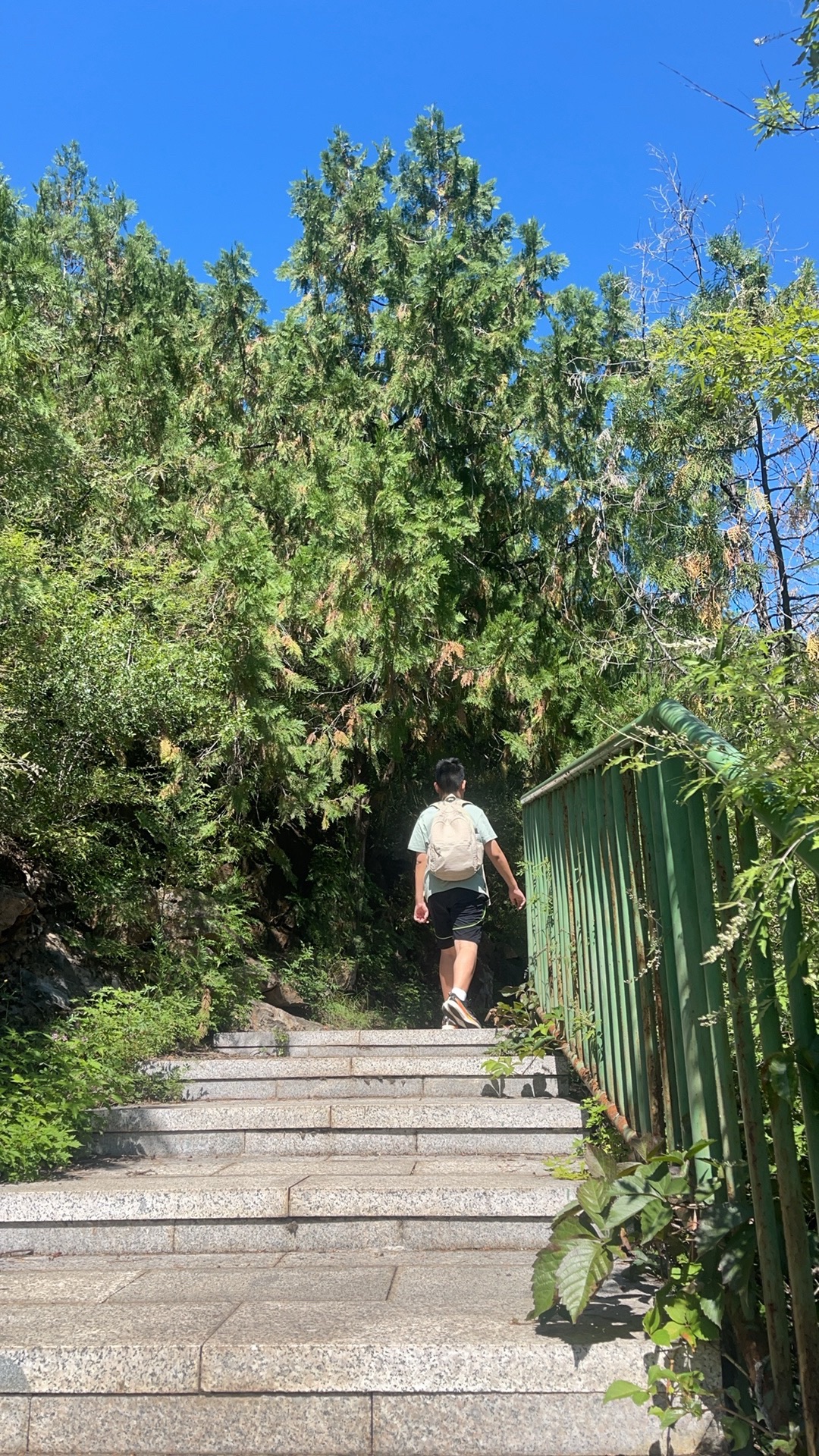 北京冶仙塔旅游风景区旅行图片 2