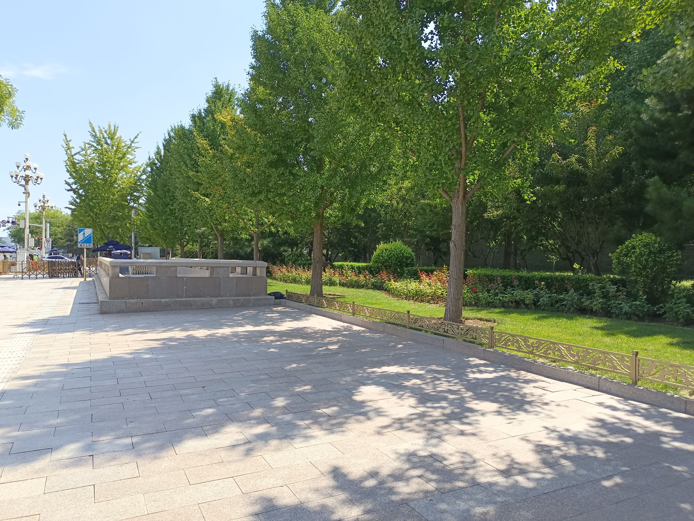 双塔庆寿寺原址旅行图片 3