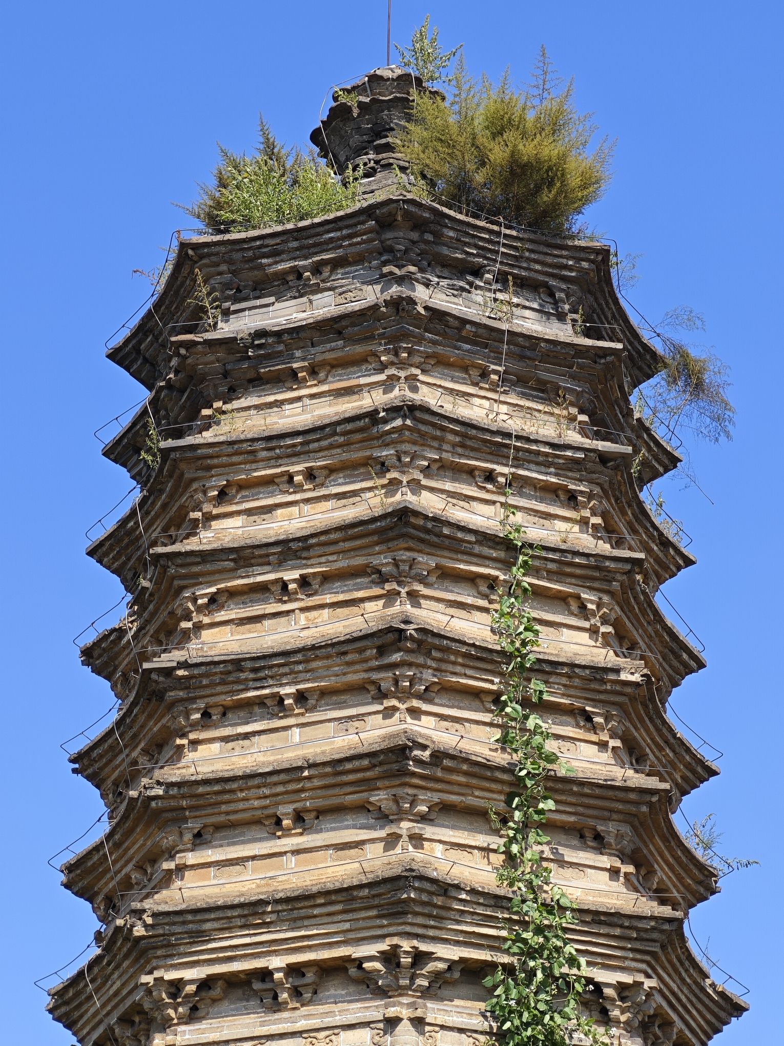 周吉祥塔旅行图片 3