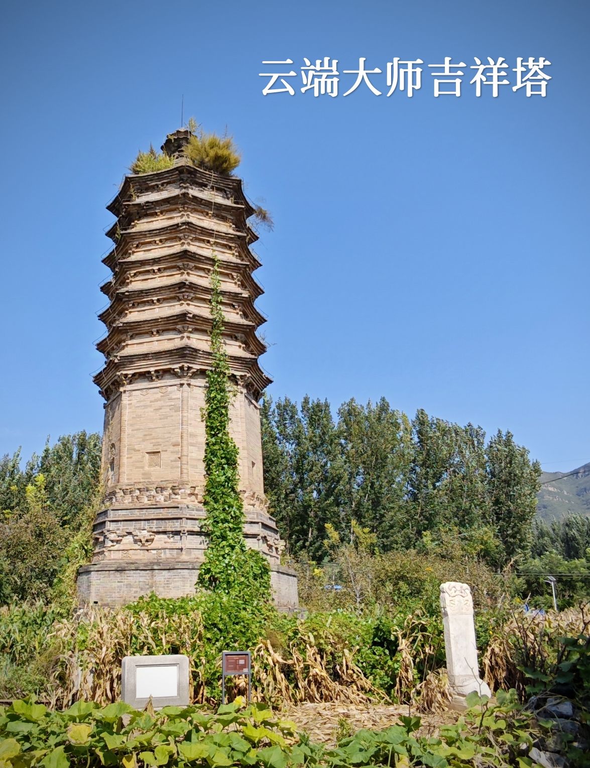 周吉祥塔旅行图片 1