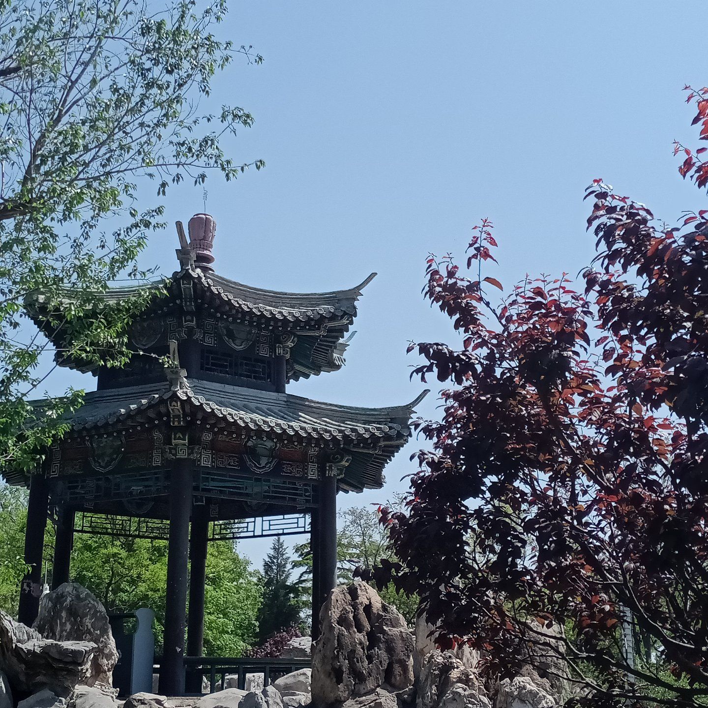 南口公园旅行图片 1