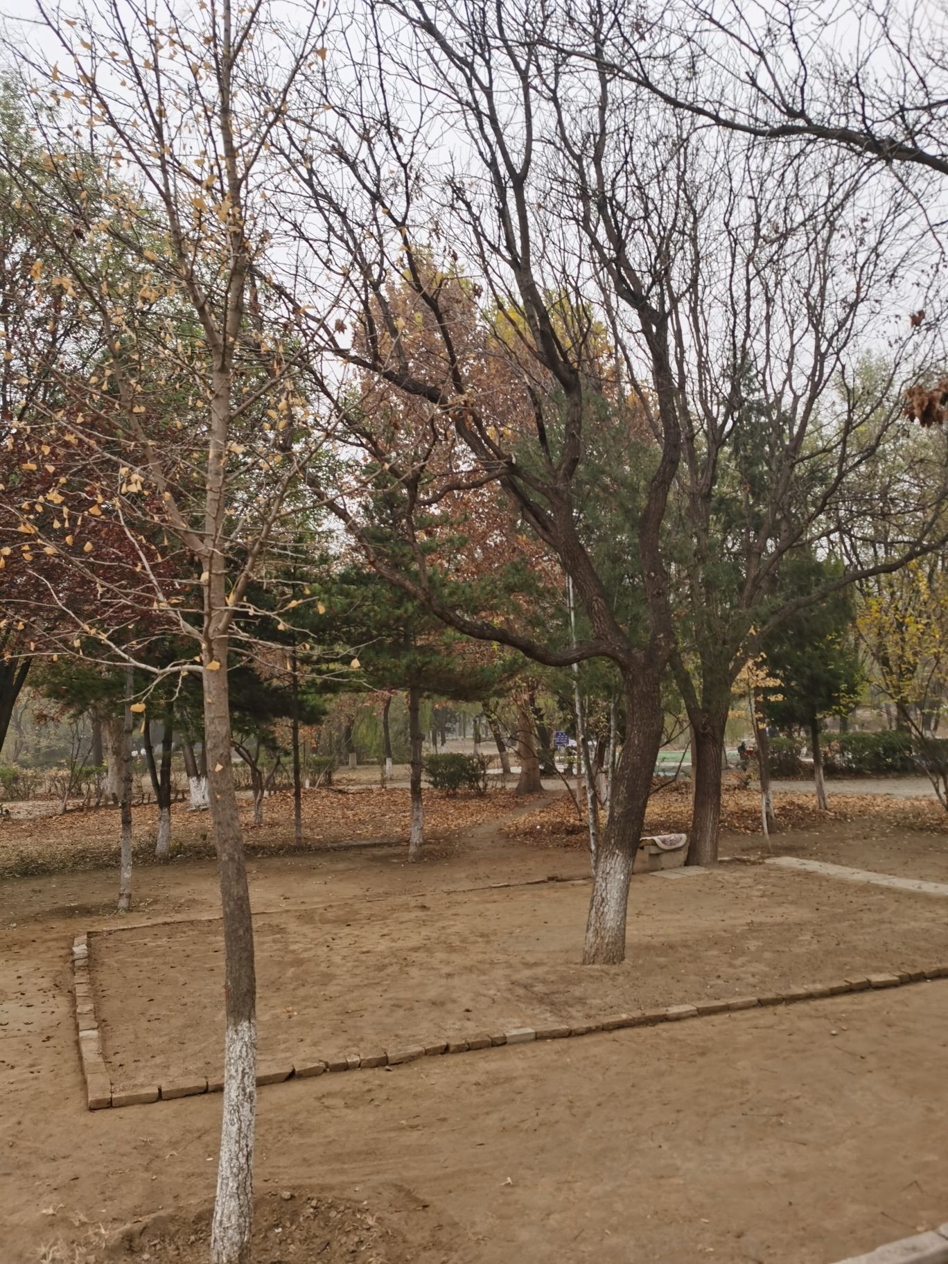 翠城公园旅行图片 2