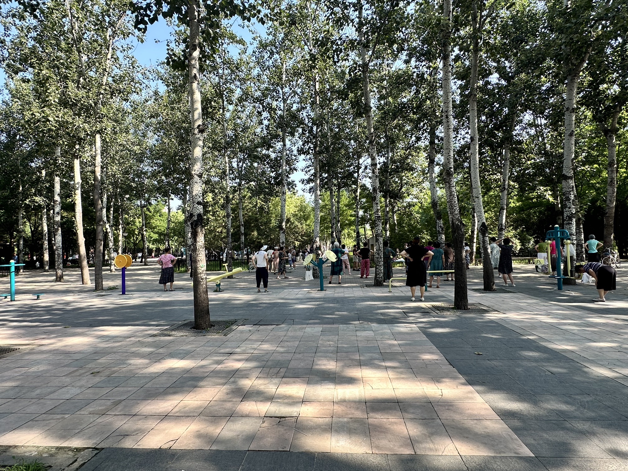 翠城公园旅行图片 3